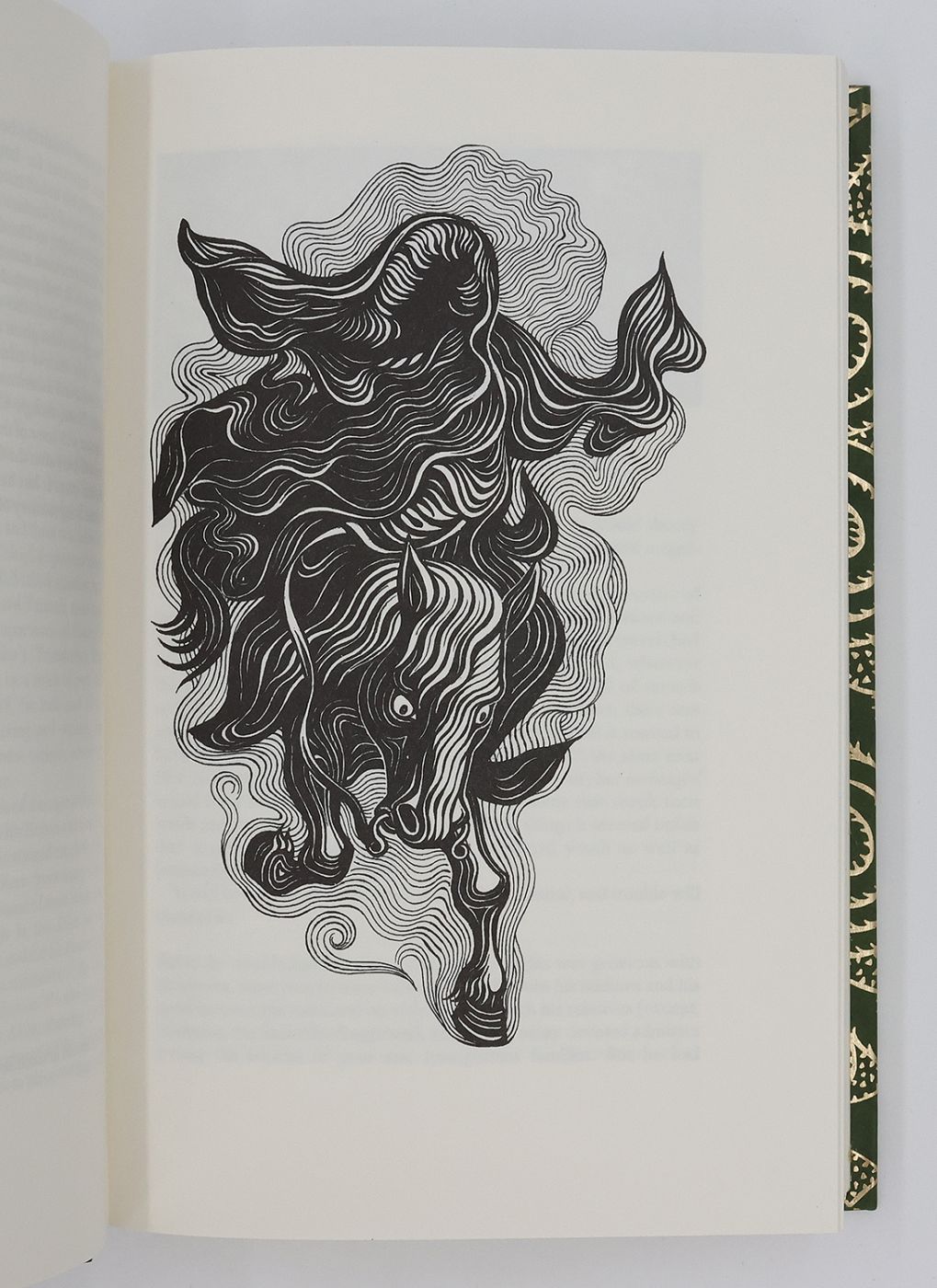 THE LORD OF THE RINGS. -  image 6