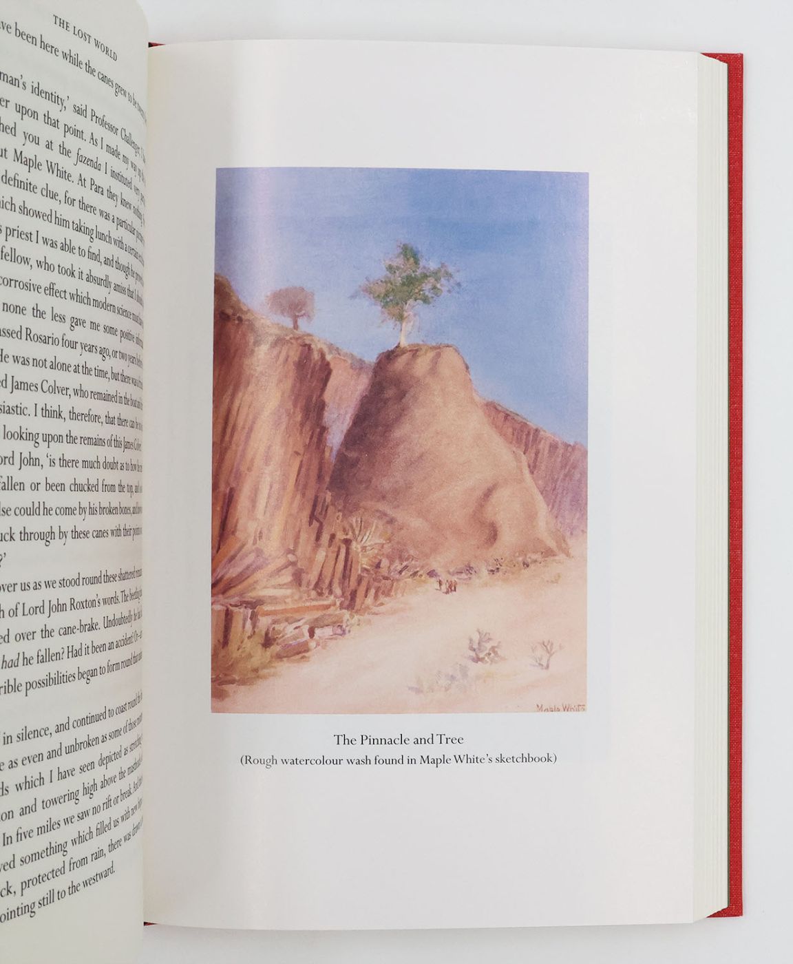 THE LOST WORLD: -  image 4