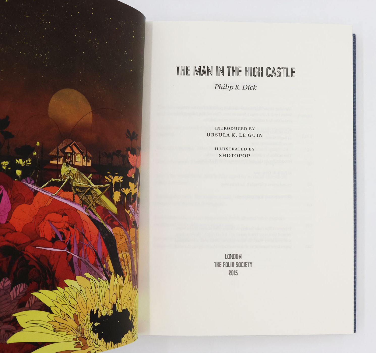 THE MAN IN THE HIGH CASTLE -  image 4