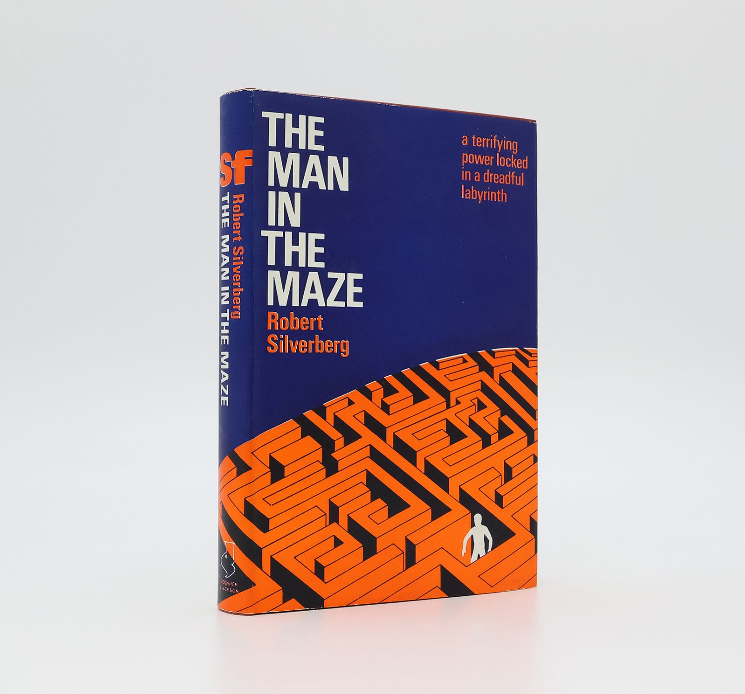 THE MAN IN THE MAZE -  image 1