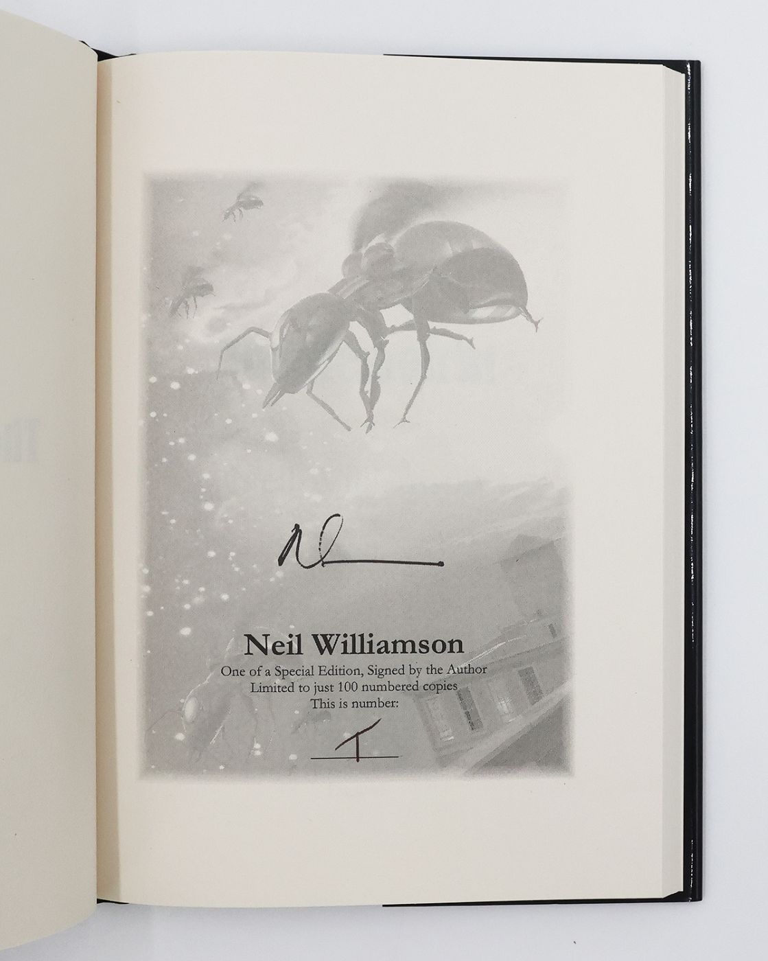 THE MEMOIRIST; THE ENCLAVE; AT THE SPEED OF LIGHT; THE IRON TACTICIAN. -  image 10