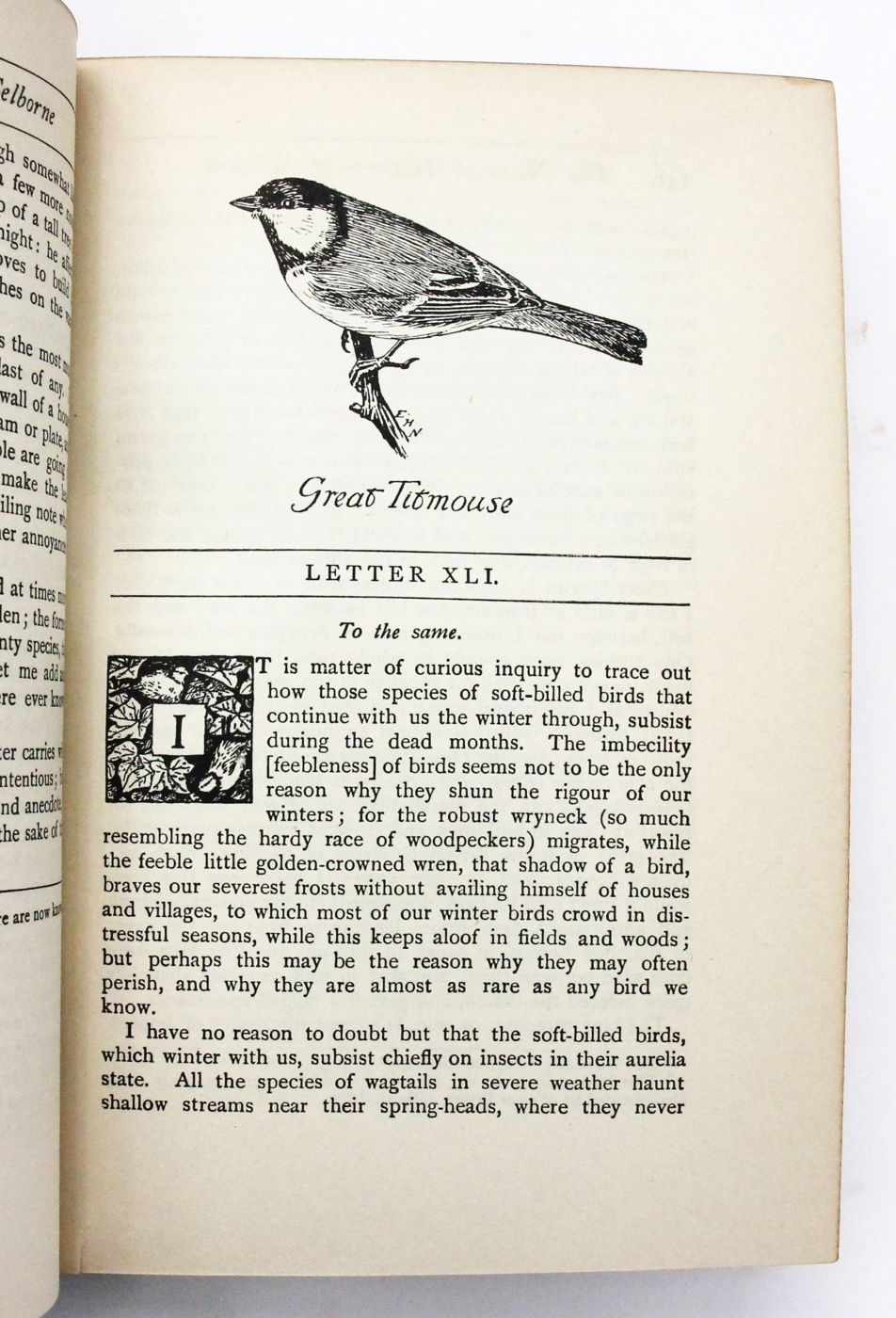 THE NATURAL HISTORY OF SELBORNE -  image 4