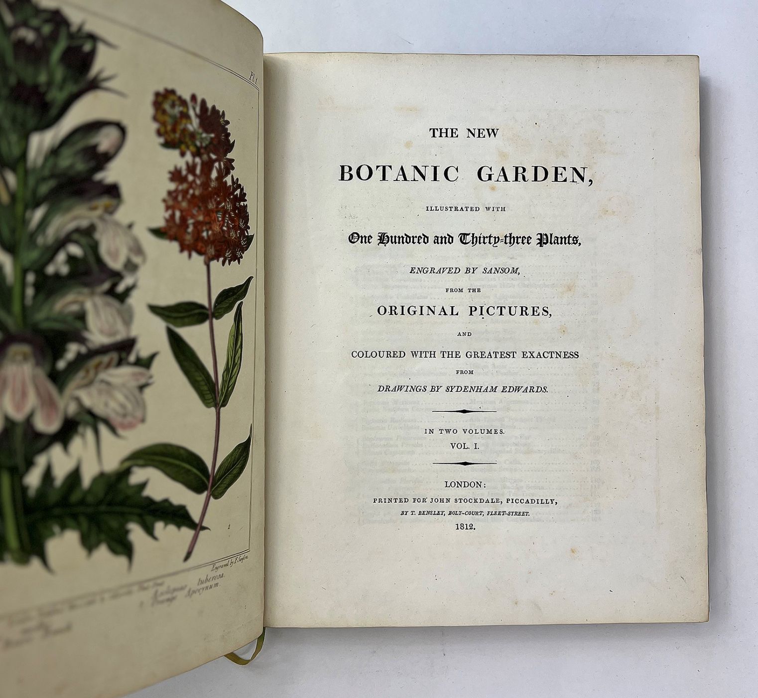 THE NEW BOTANIC GARDEN, -  image 1