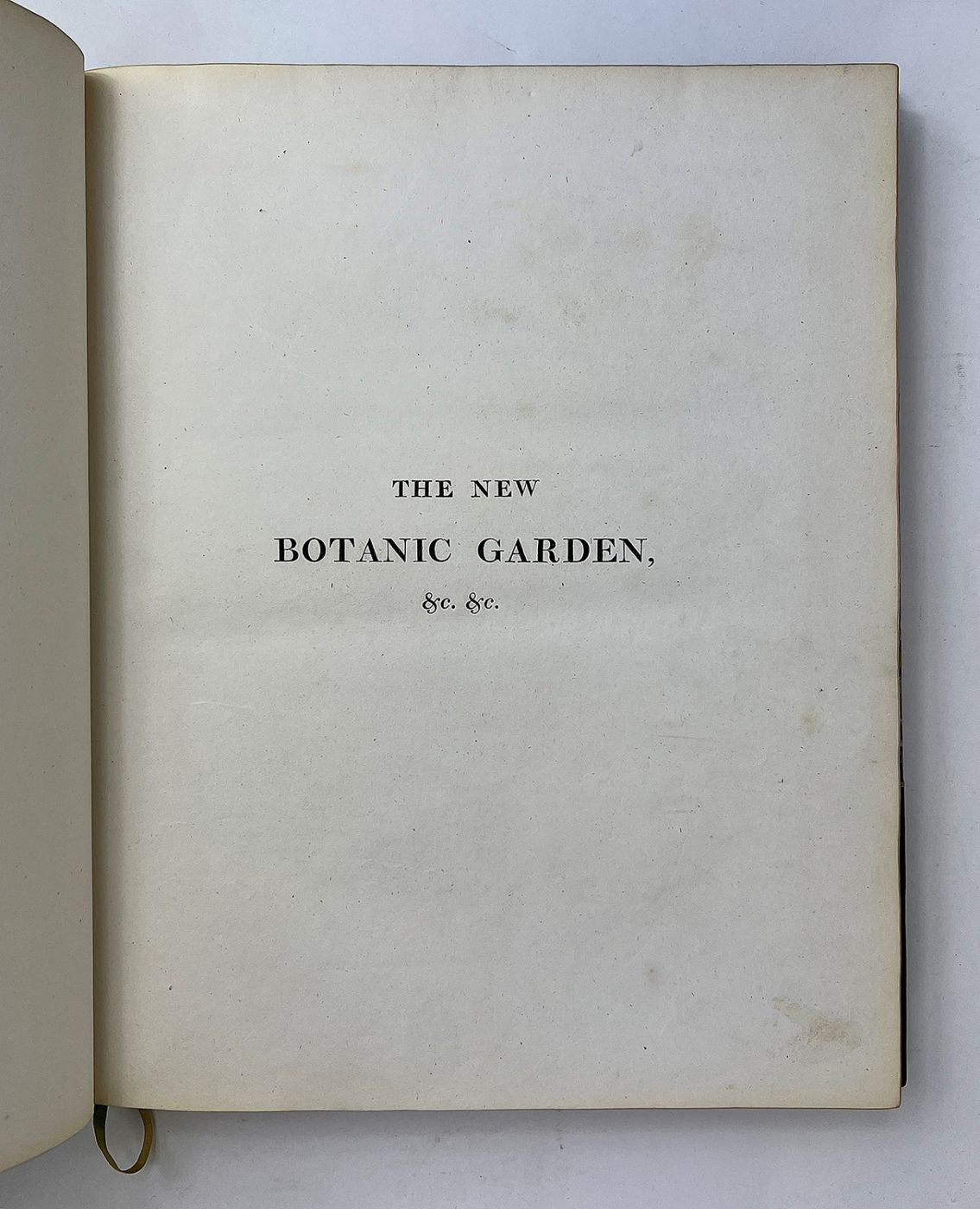THE NEW BOTANIC GARDEN, -  image 5