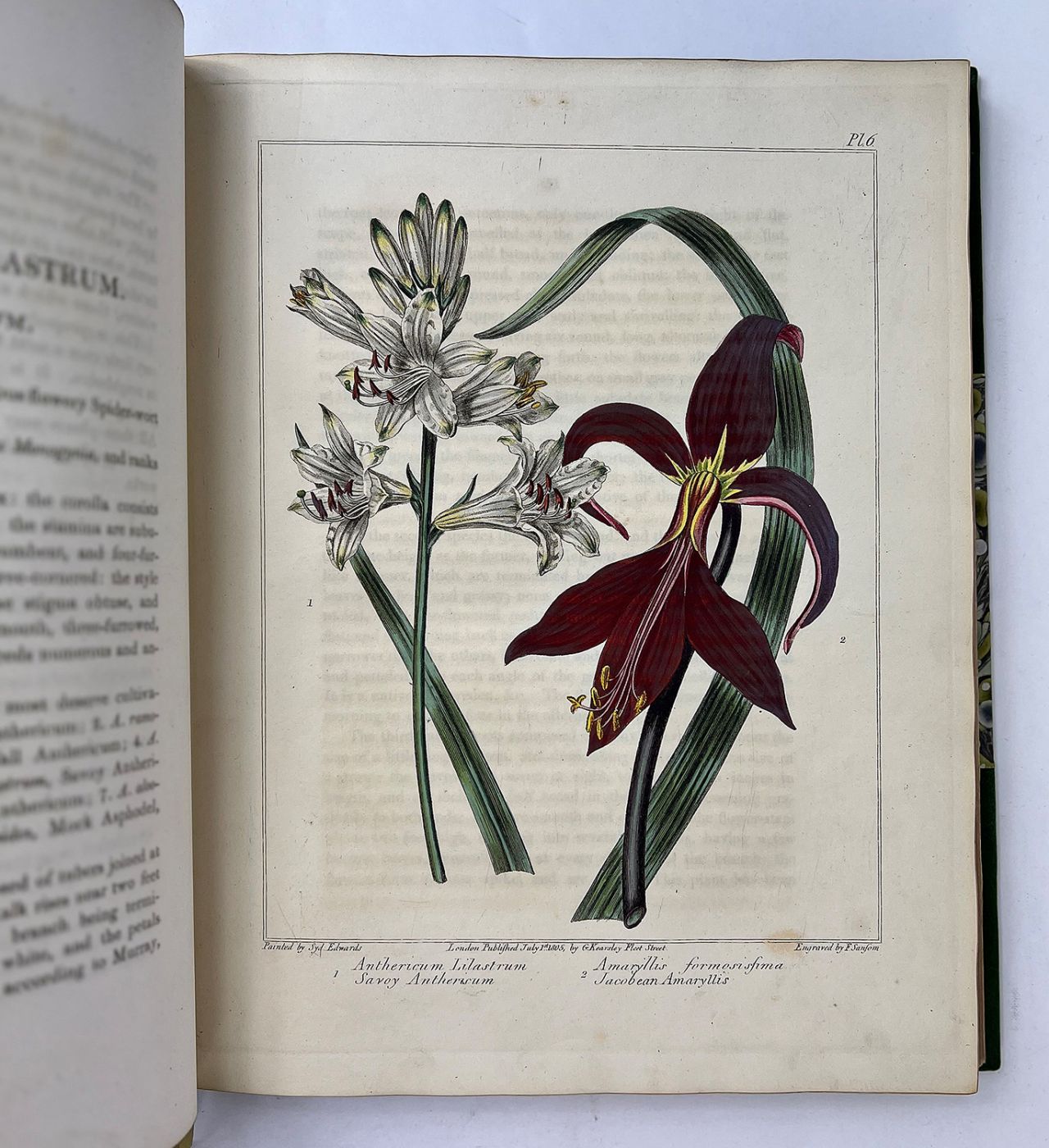 THE NEW BOTANIC GARDEN, -  image 6