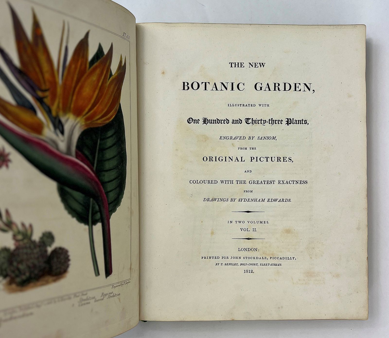 THE NEW BOTANIC GARDEN, -  image 8