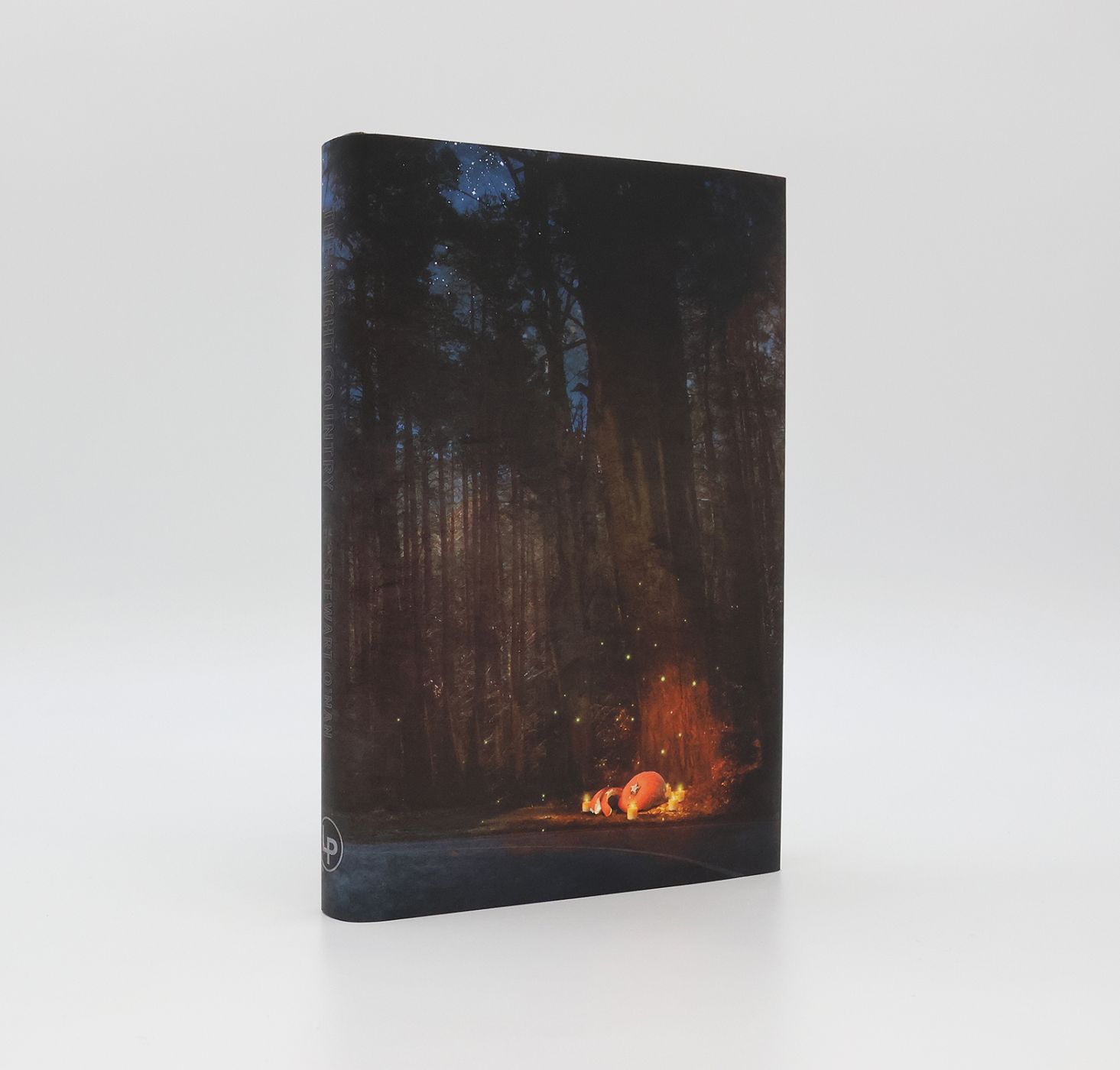 THE NIGHT COUNTRY -  image 2