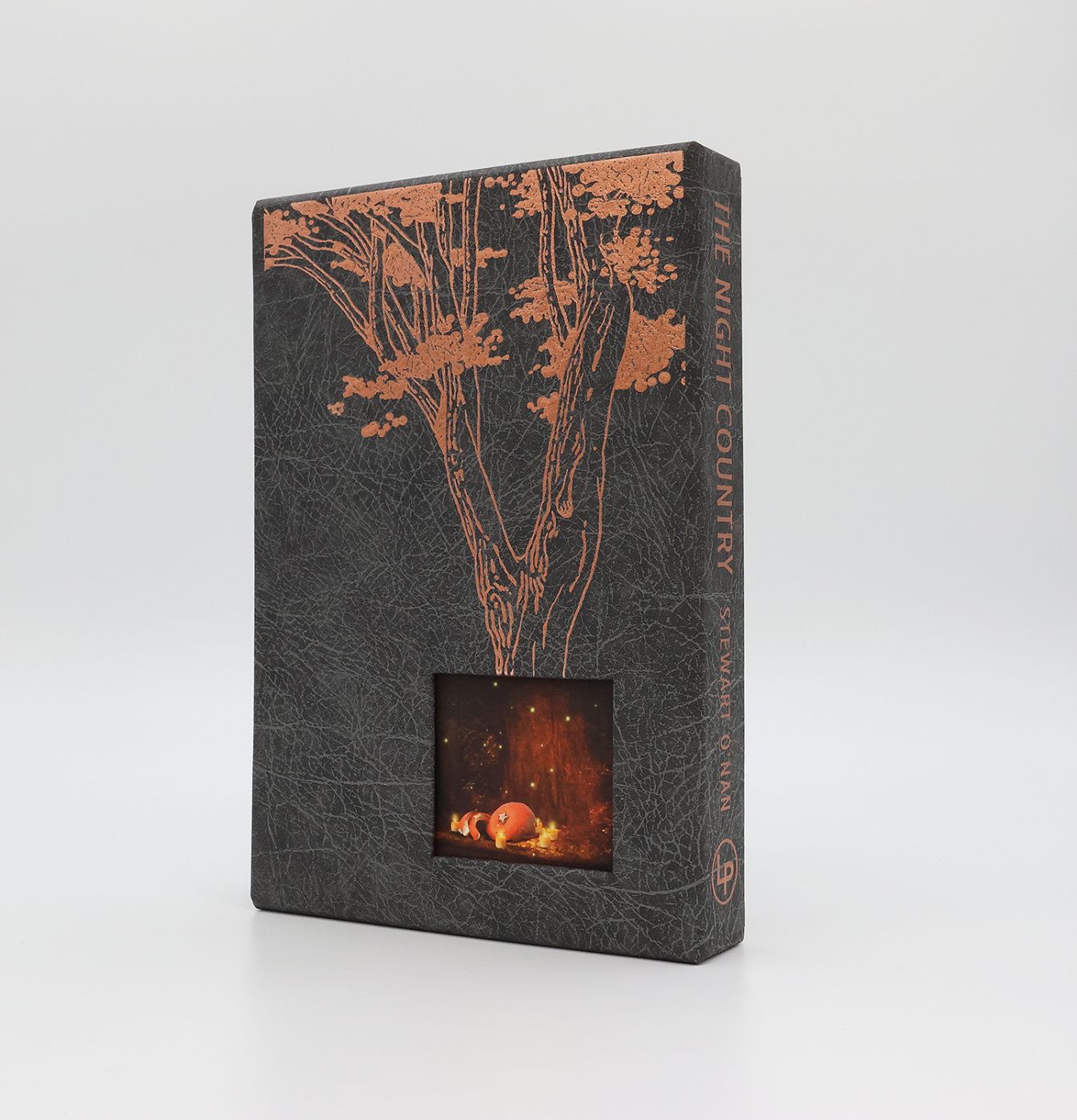 THE NIGHT COUNTRY -  image 3