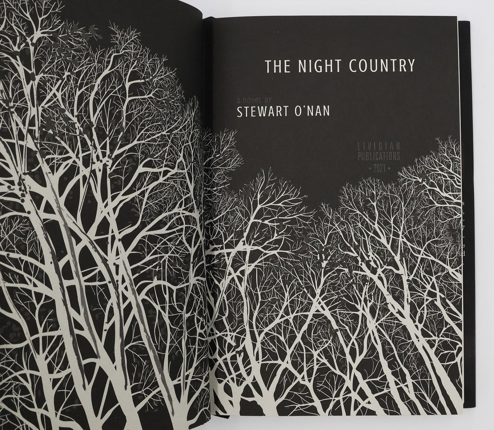THE NIGHT COUNTRY -  image 5