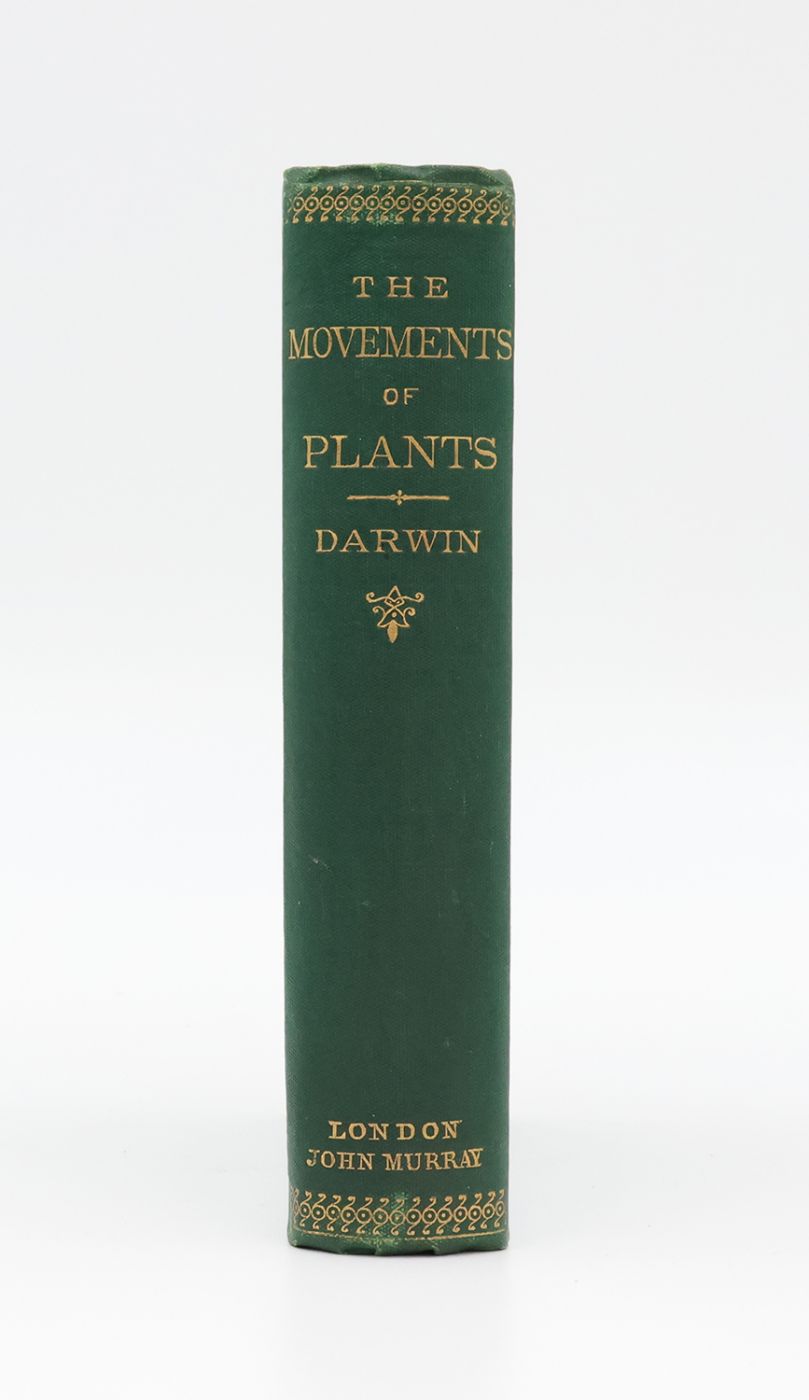 THE POWER OF MOVEMENTS IN PLANTS. -  image 2