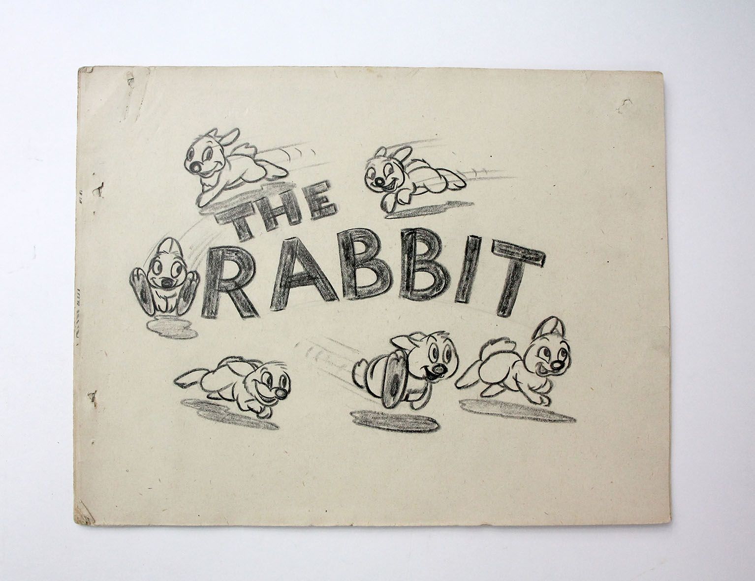 THE RABBIT -  image 1