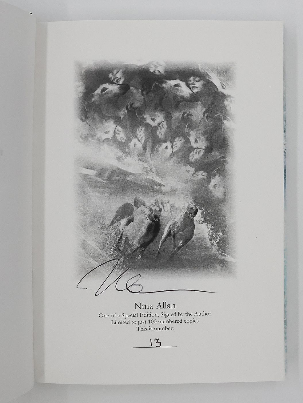 THE RACE -  image 2