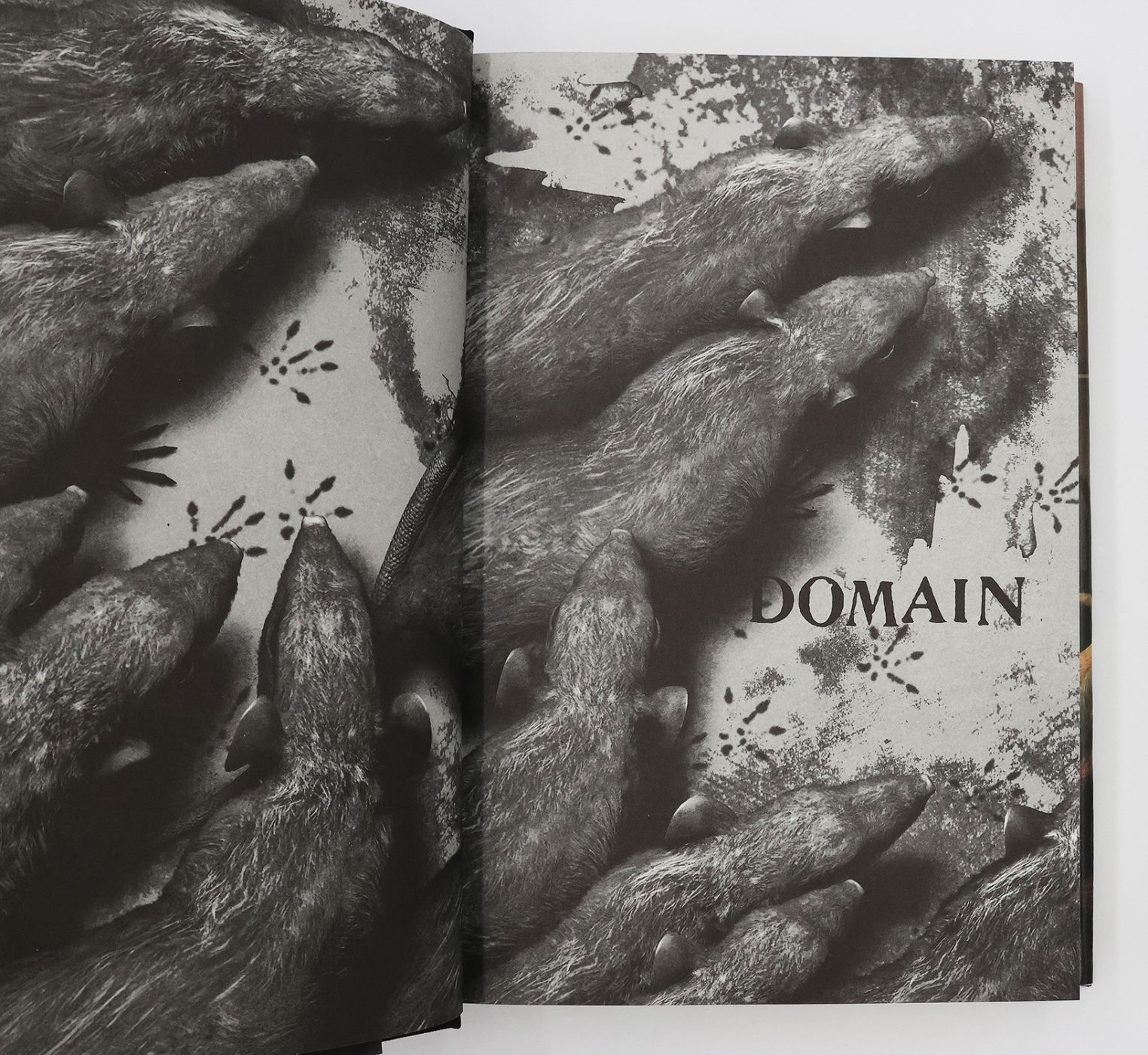 THE RATS TRILOGY: THE RATS, LAIR AND DOMAIN -  image 10