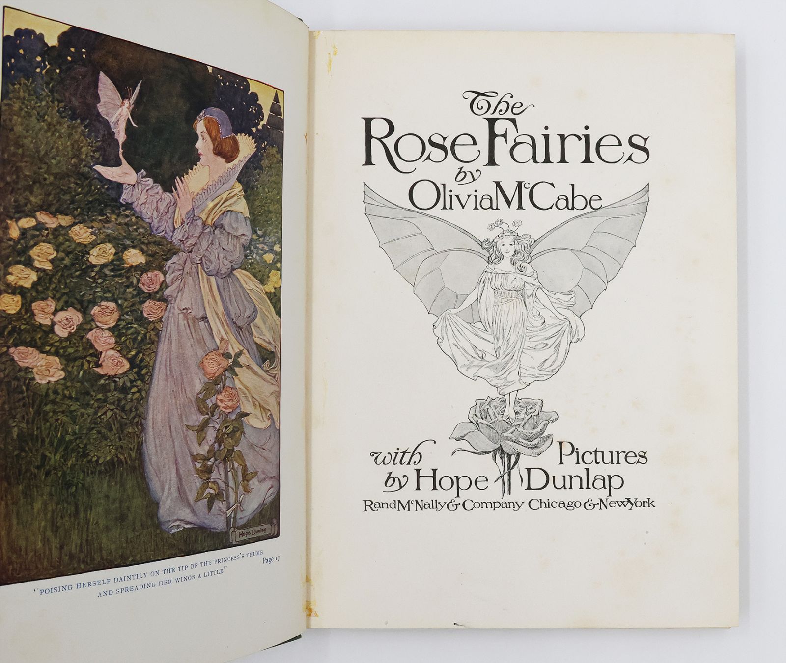 THE ROSE FAIRIES -  image 2