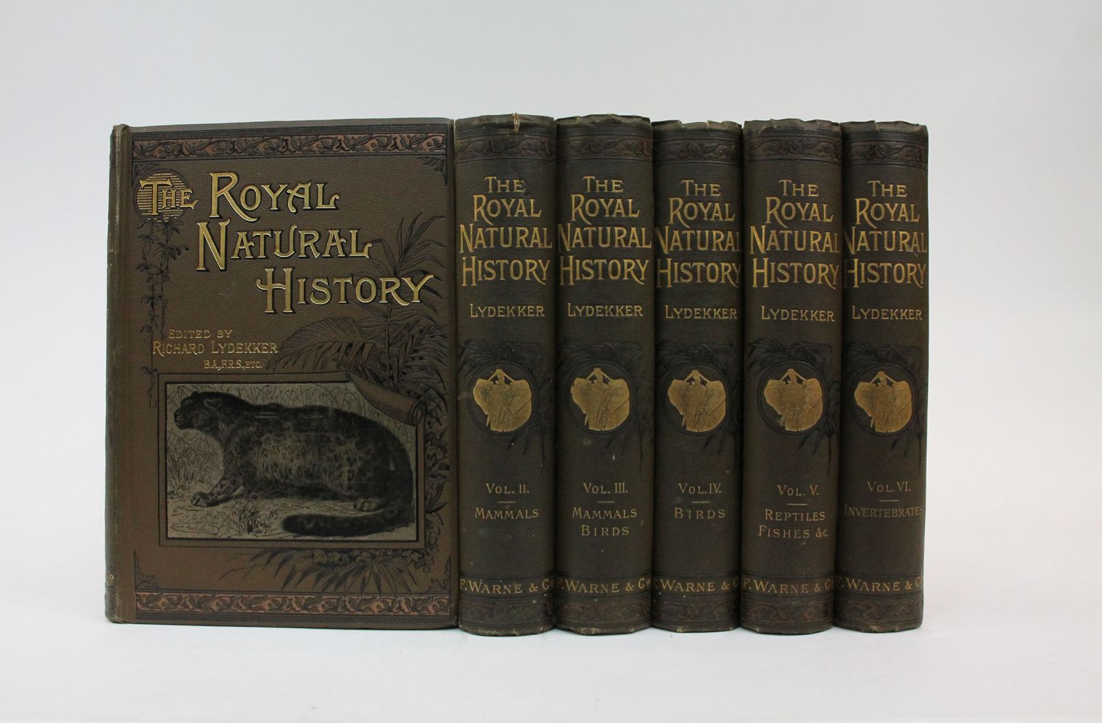 THE ROYAL NATURAL HISTORY -  image 2