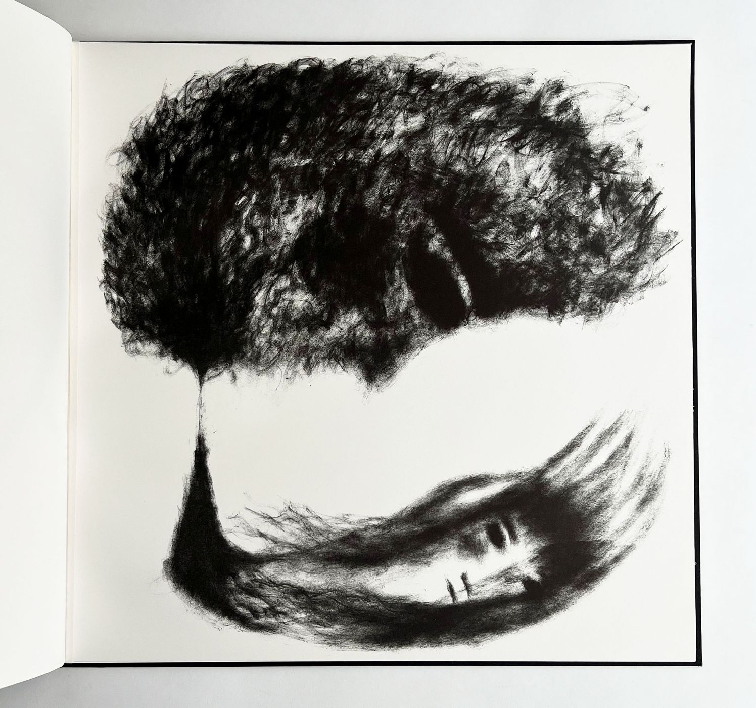 THE SEAL WOMAN -  image 3