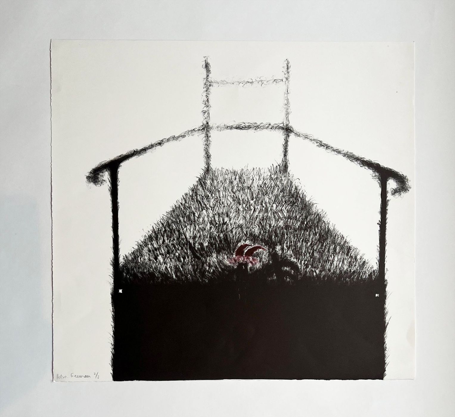 THE SEAL WOMAN -  image 9