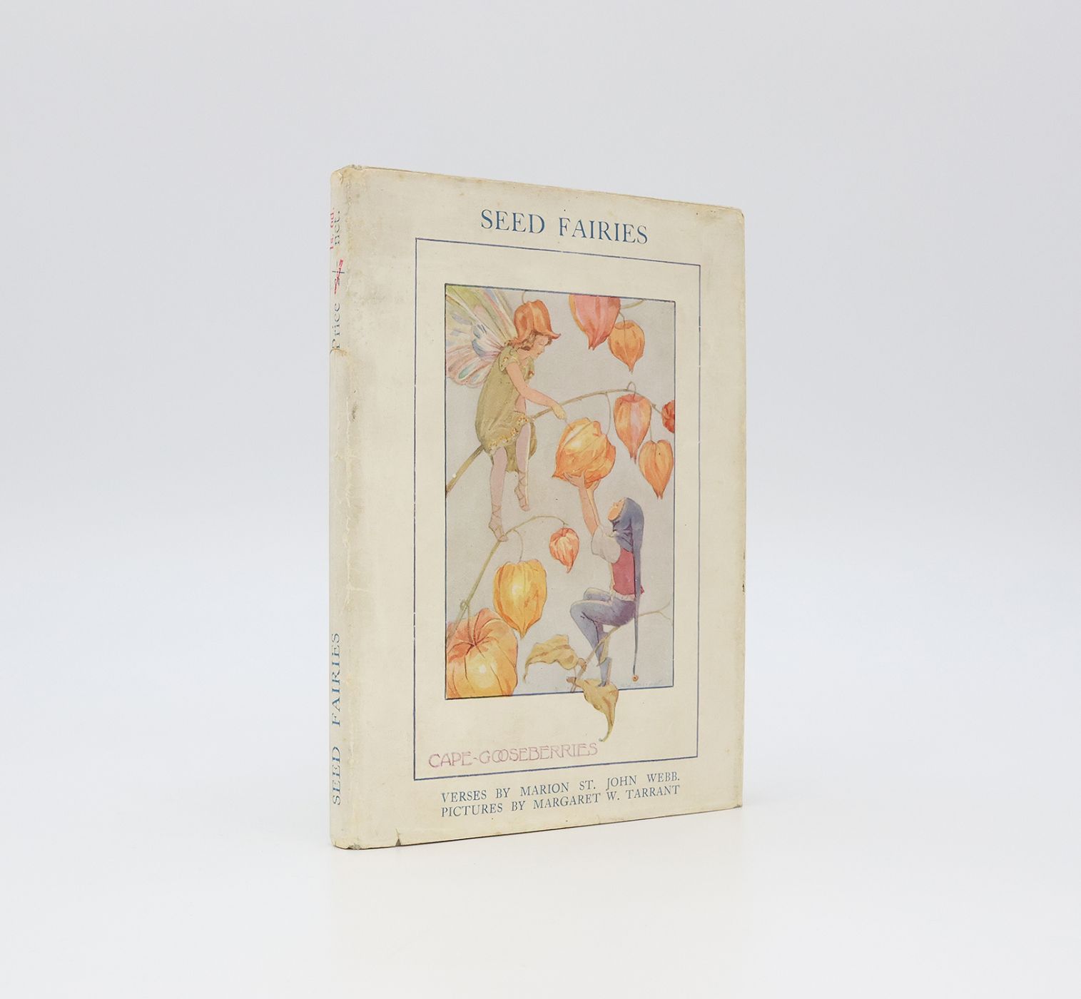 THE SEED FAIRIES -  image 1