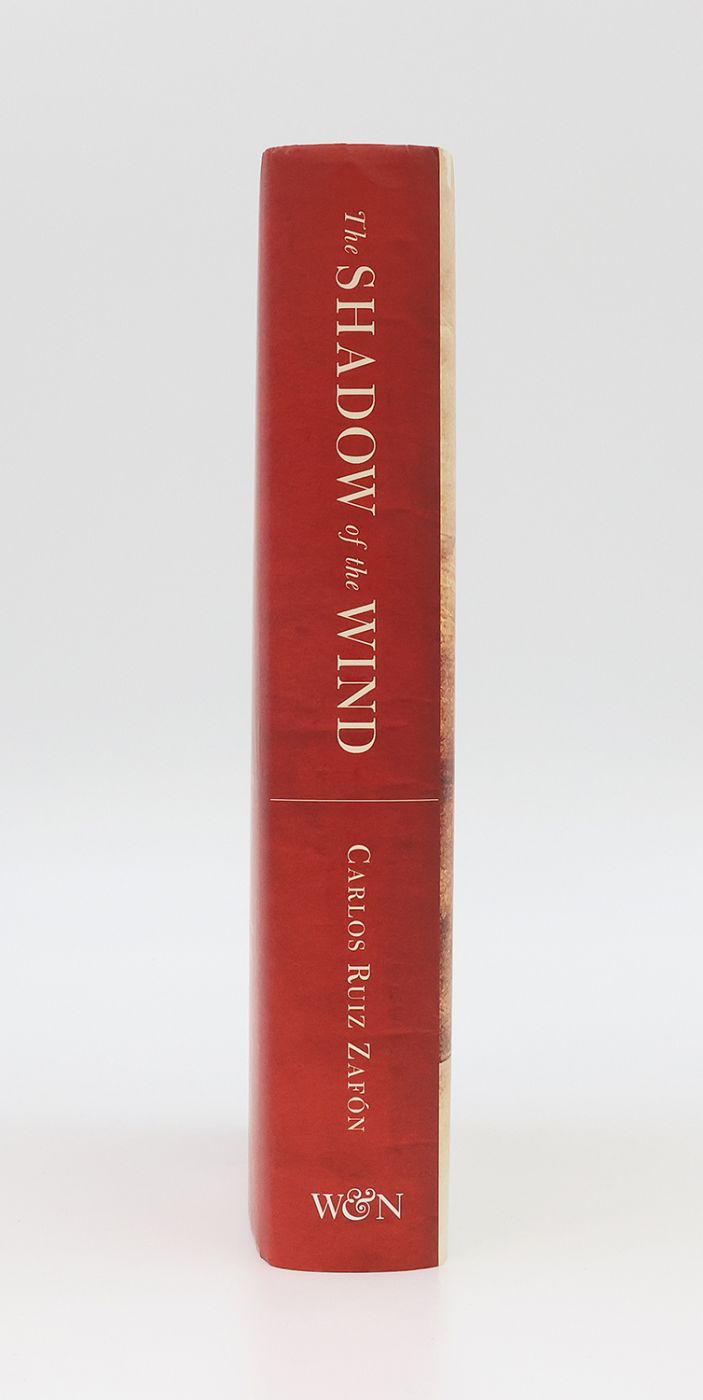 THE SHADOW OF THE WIND -  image 2