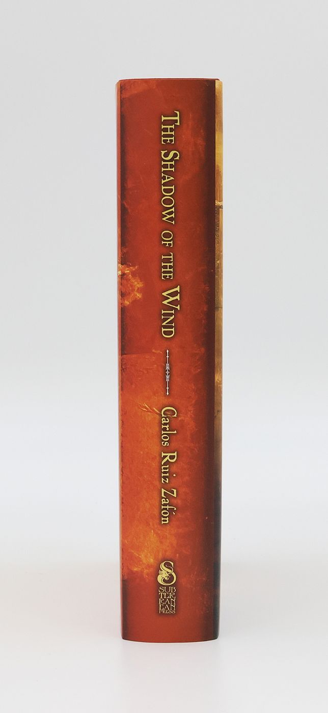 THE SHADOW OF THE WIND -  image 2