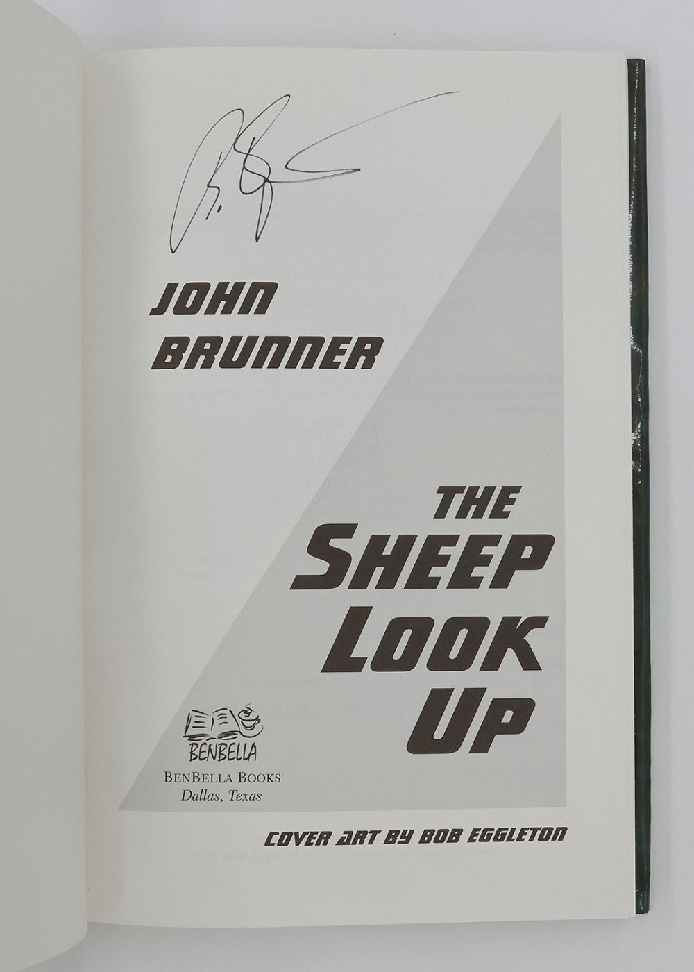 THE SHEEP LOOK UP -  image 2