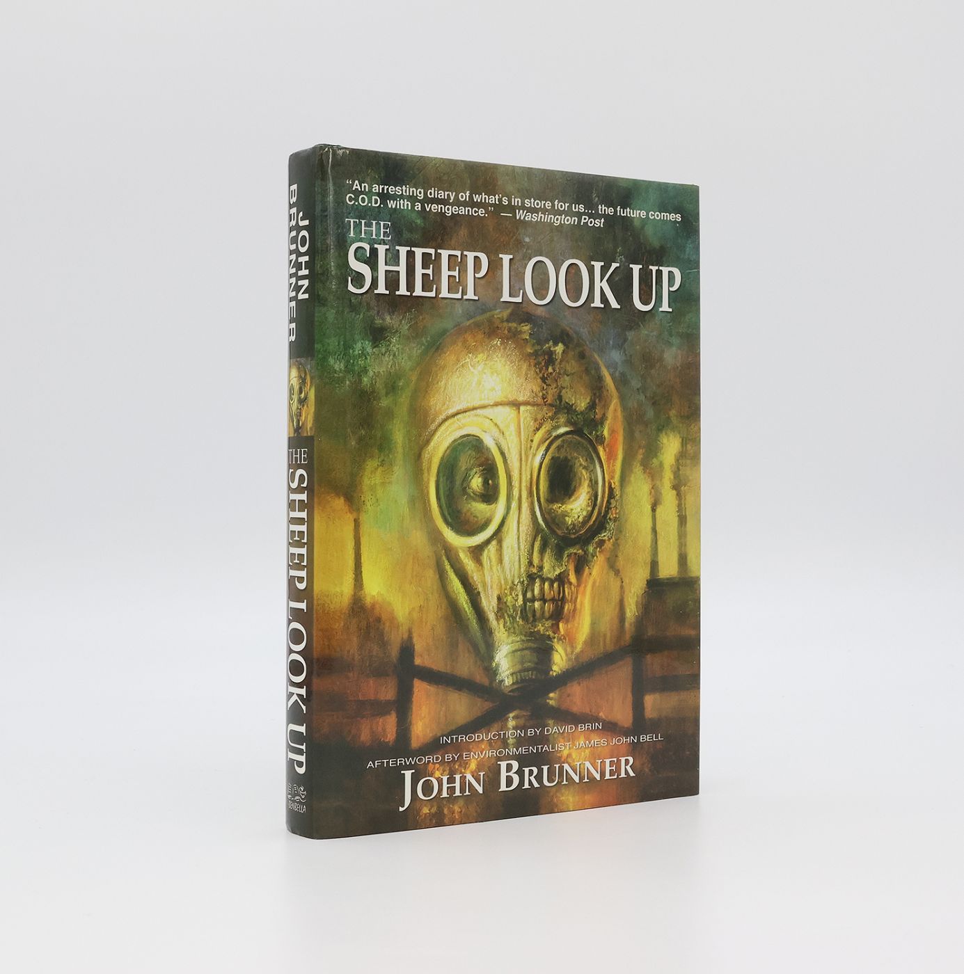 THE SHEEP LOOK UP -  image 1
