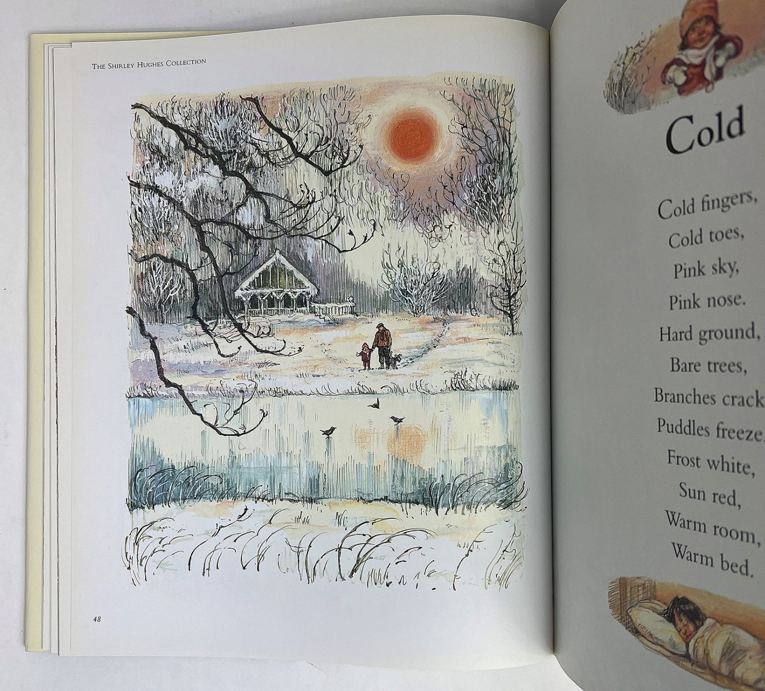 THE SHIRLEY HUGHES COLLECTION -  image 3