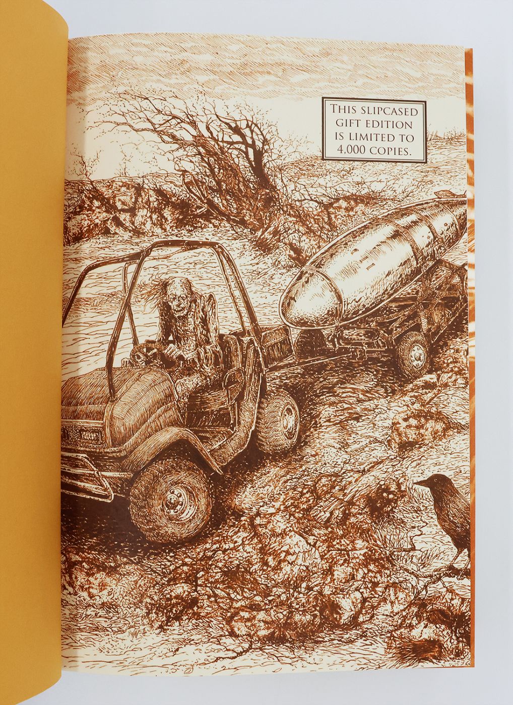 THE STAND -  image 5