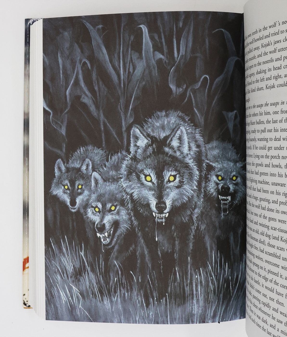 THE STAND. -  image 9