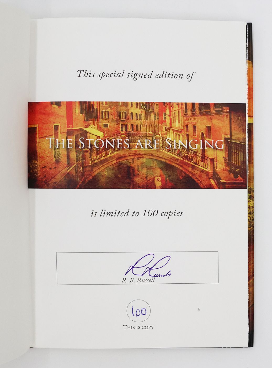 THE STONES ARE SINGING -  image 2