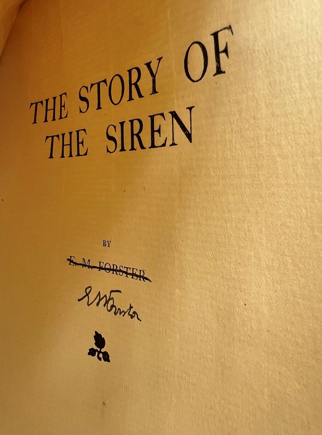 THE STORY OF THE SIREN -  image 4
