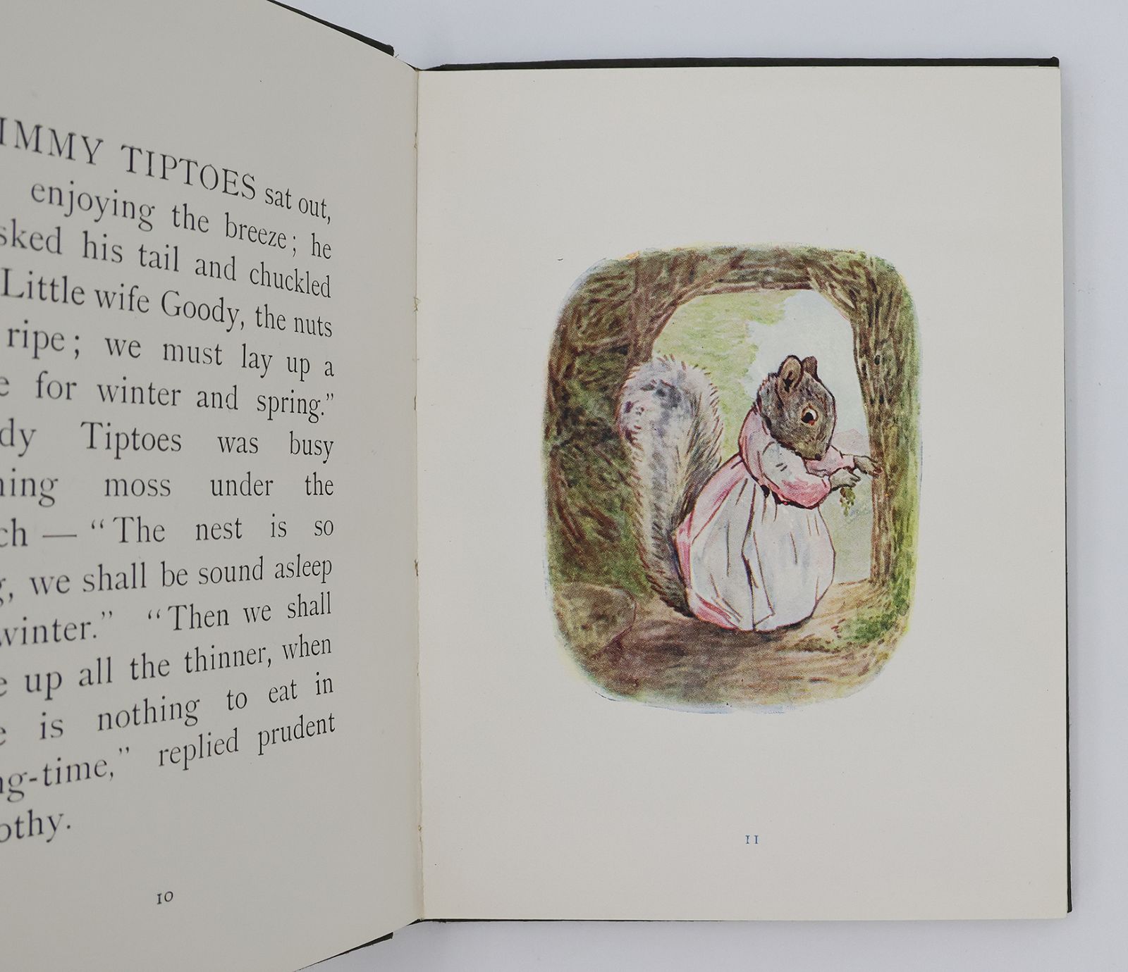 THE TALE OF TIMMY TIPTOES -  image 5