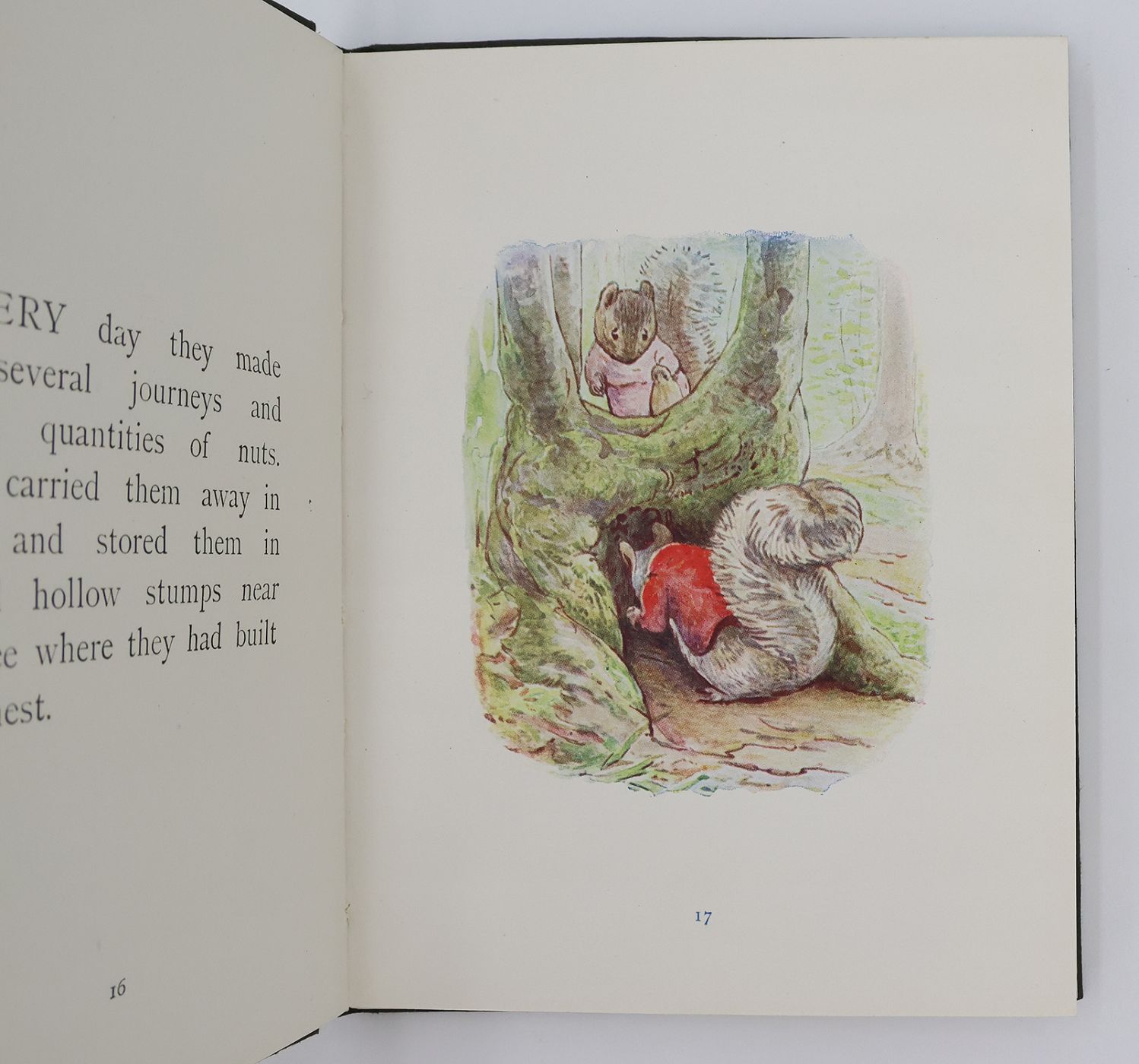 THE TALE OF TIMMY TIPTOES -  image 6