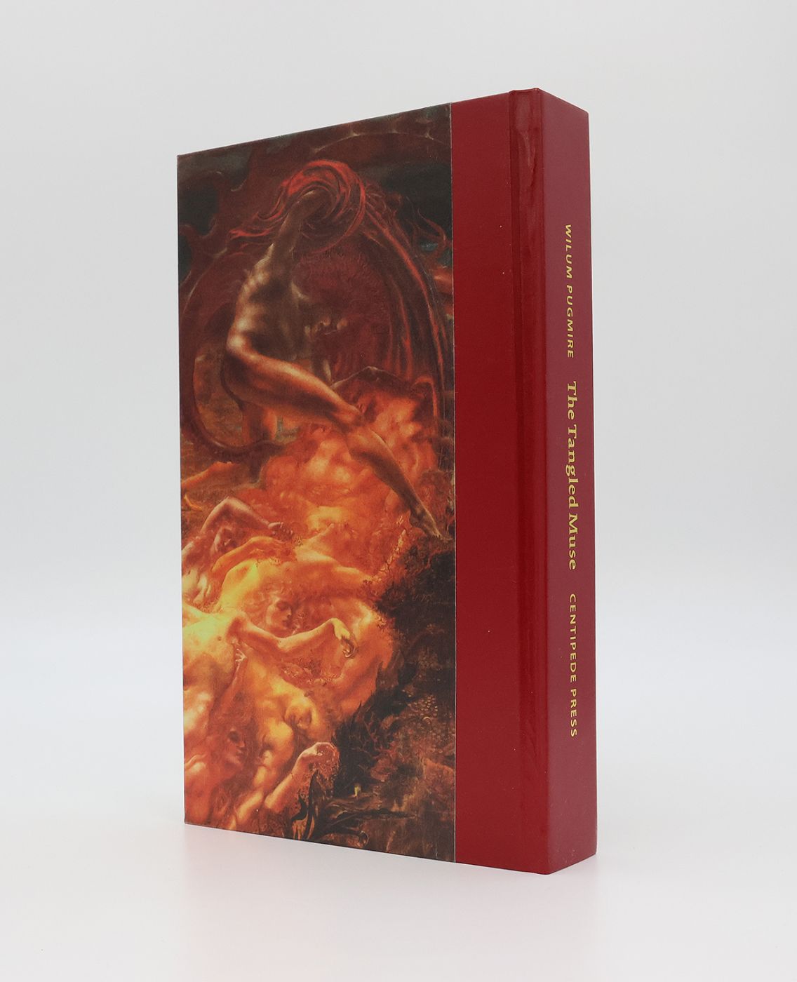 THE TANGLED MUSE -  image 2