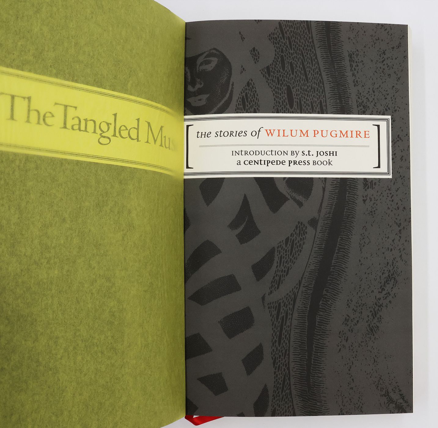 THE TANGLED MUSE -  image 3