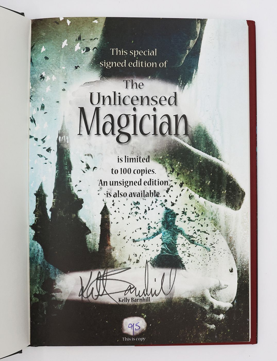 THE UNLICENSED MAGICIAN -  image 2