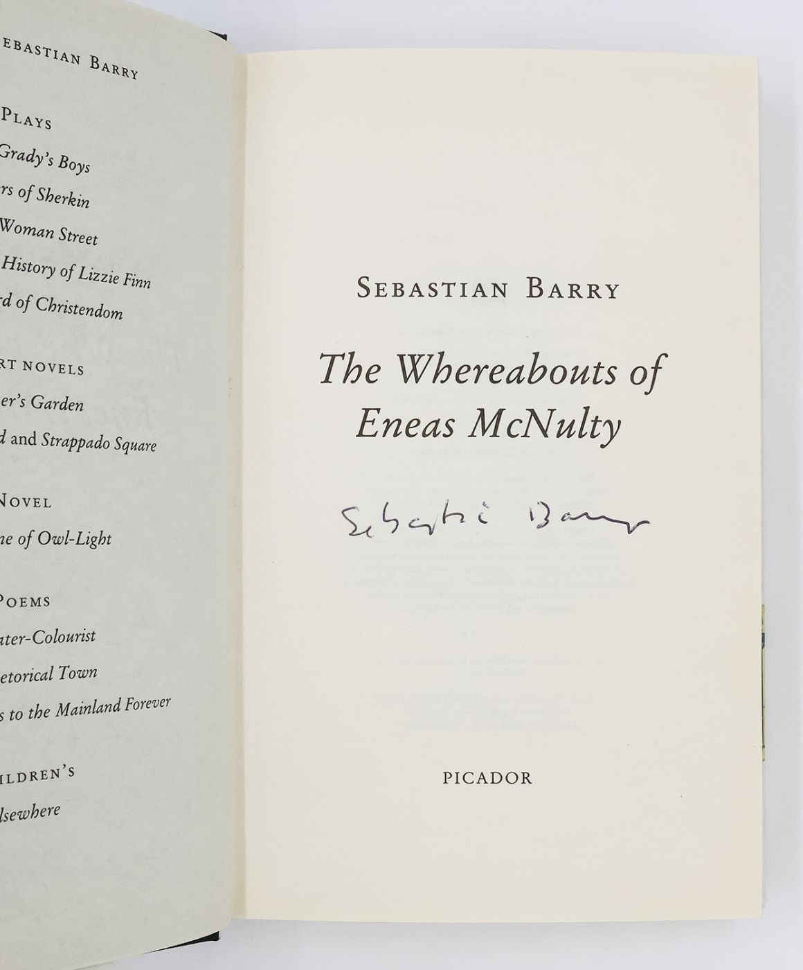 THE WHEREABOUTS OF ENEAS MCNULTY -  image 2