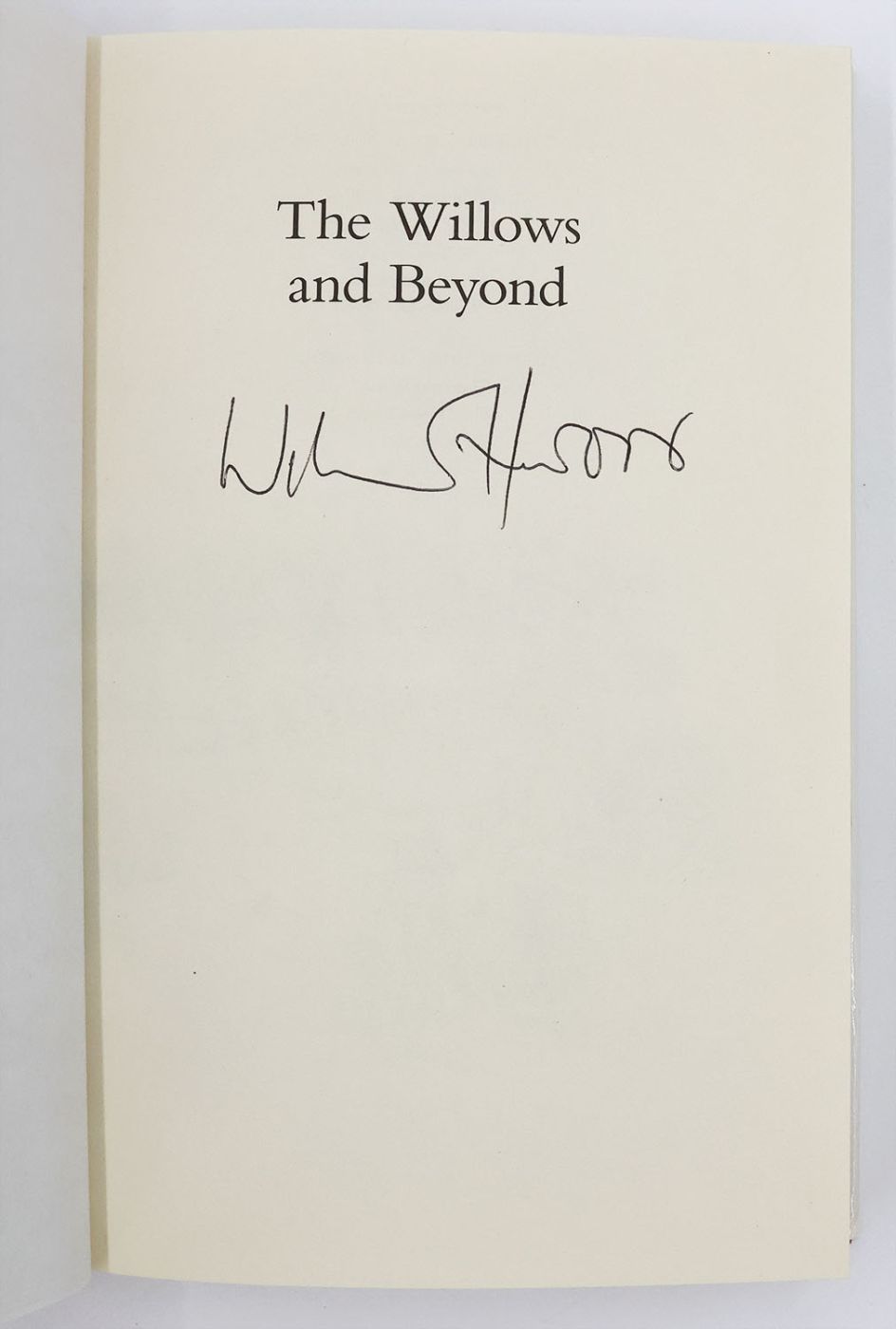 THE WILLOWS AND BEYOND -  image 2