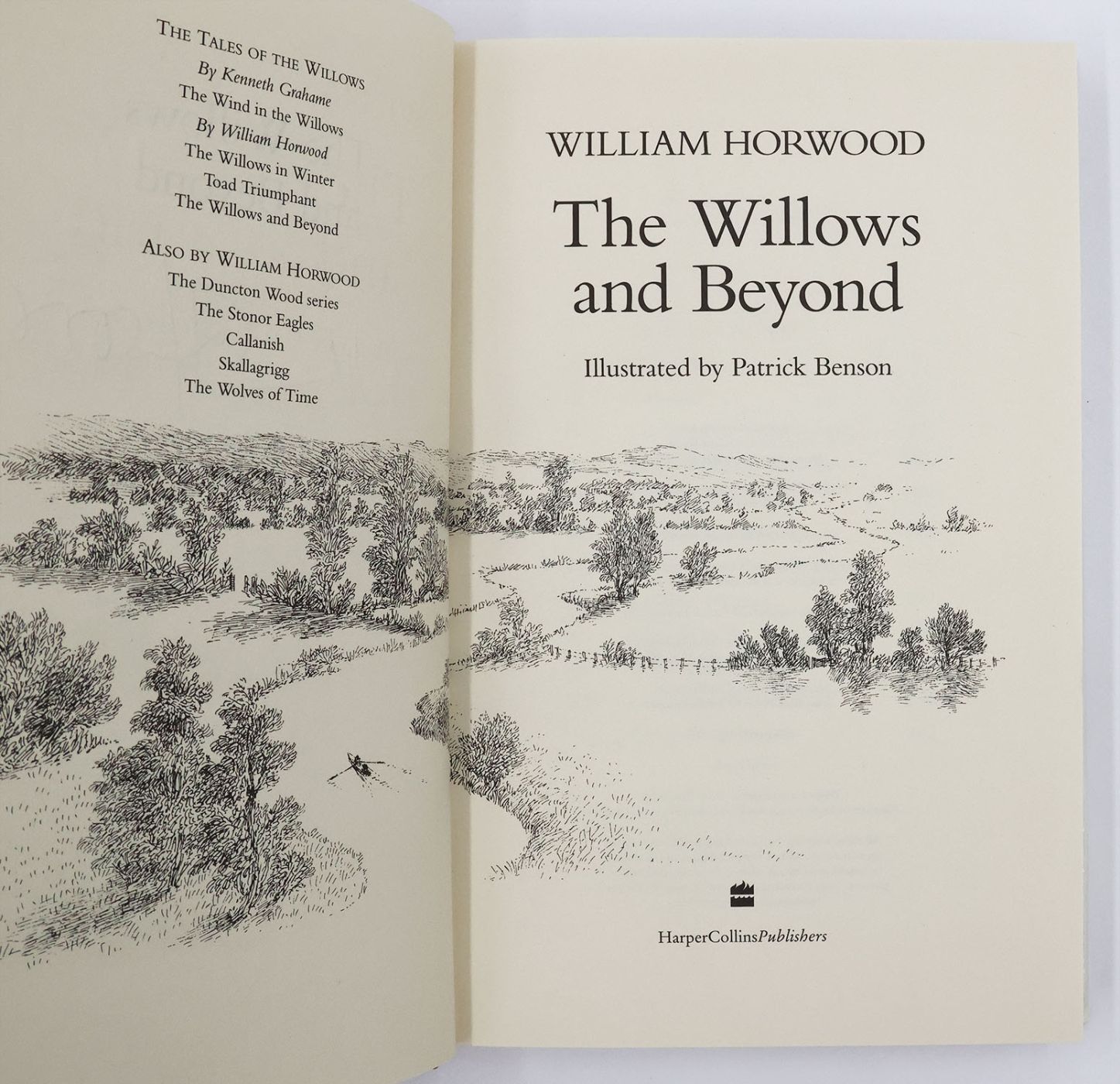THE WILLOWS AND BEYOND -  image 3