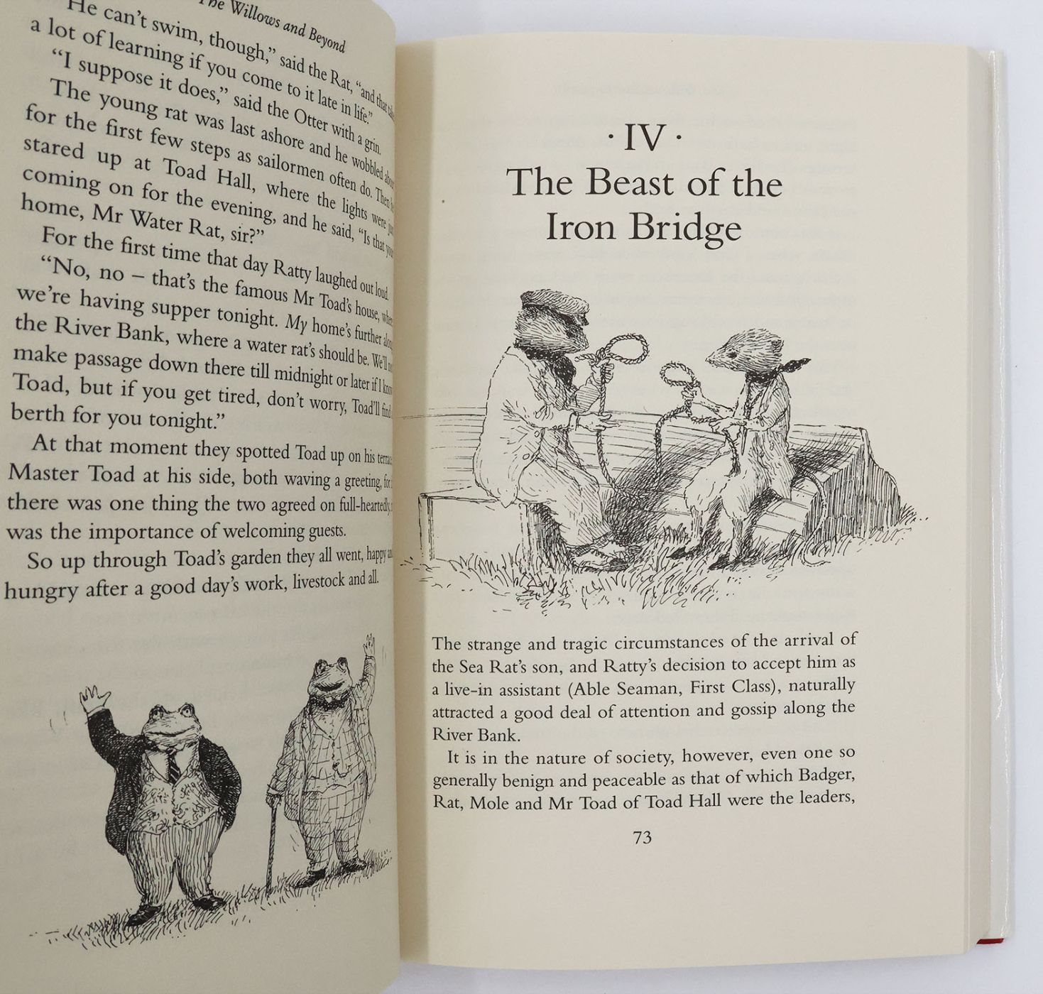 THE WILLOWS AND BEYOND -  image 4