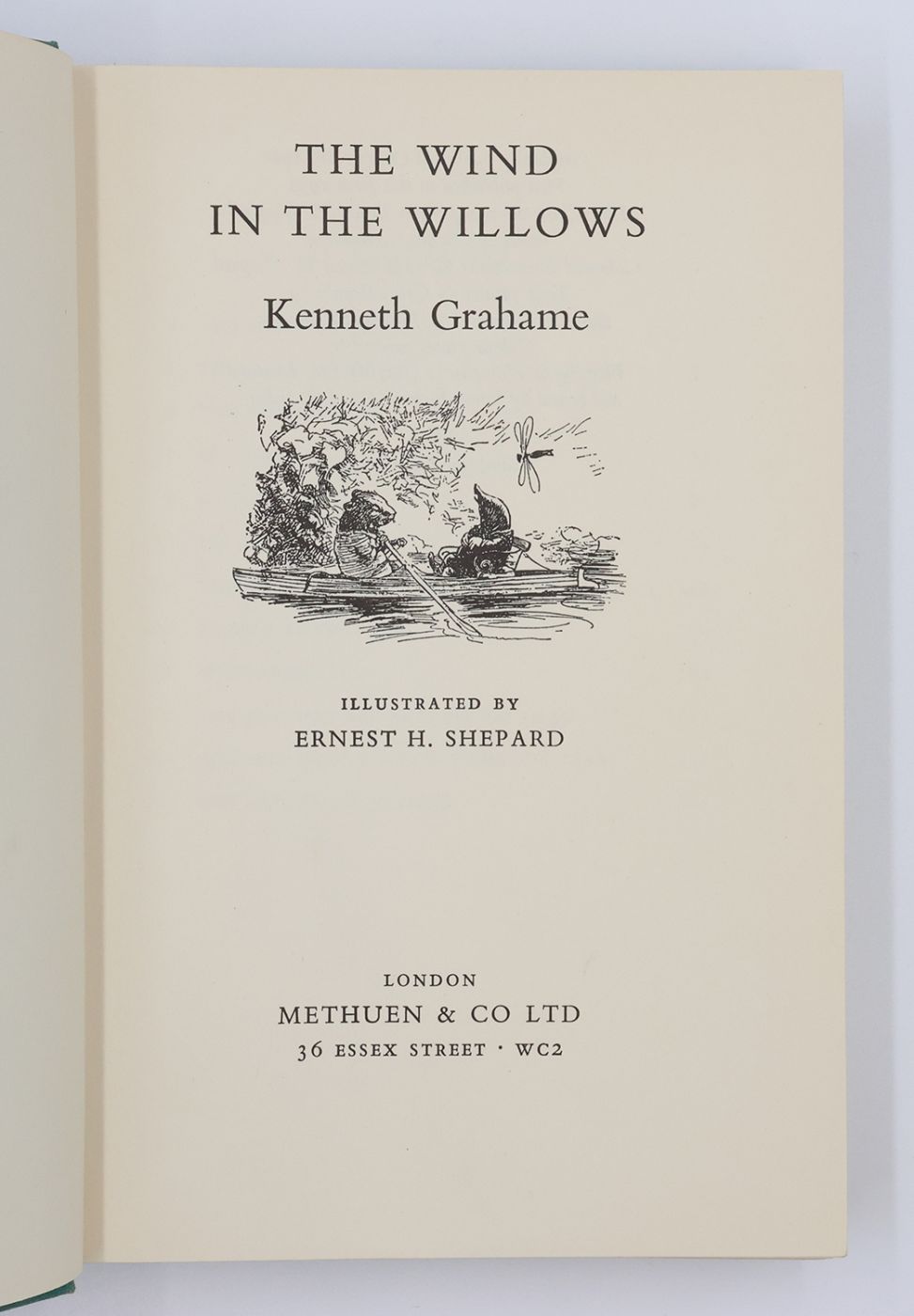 THE WIND IN THE WILLOWS -  image 2