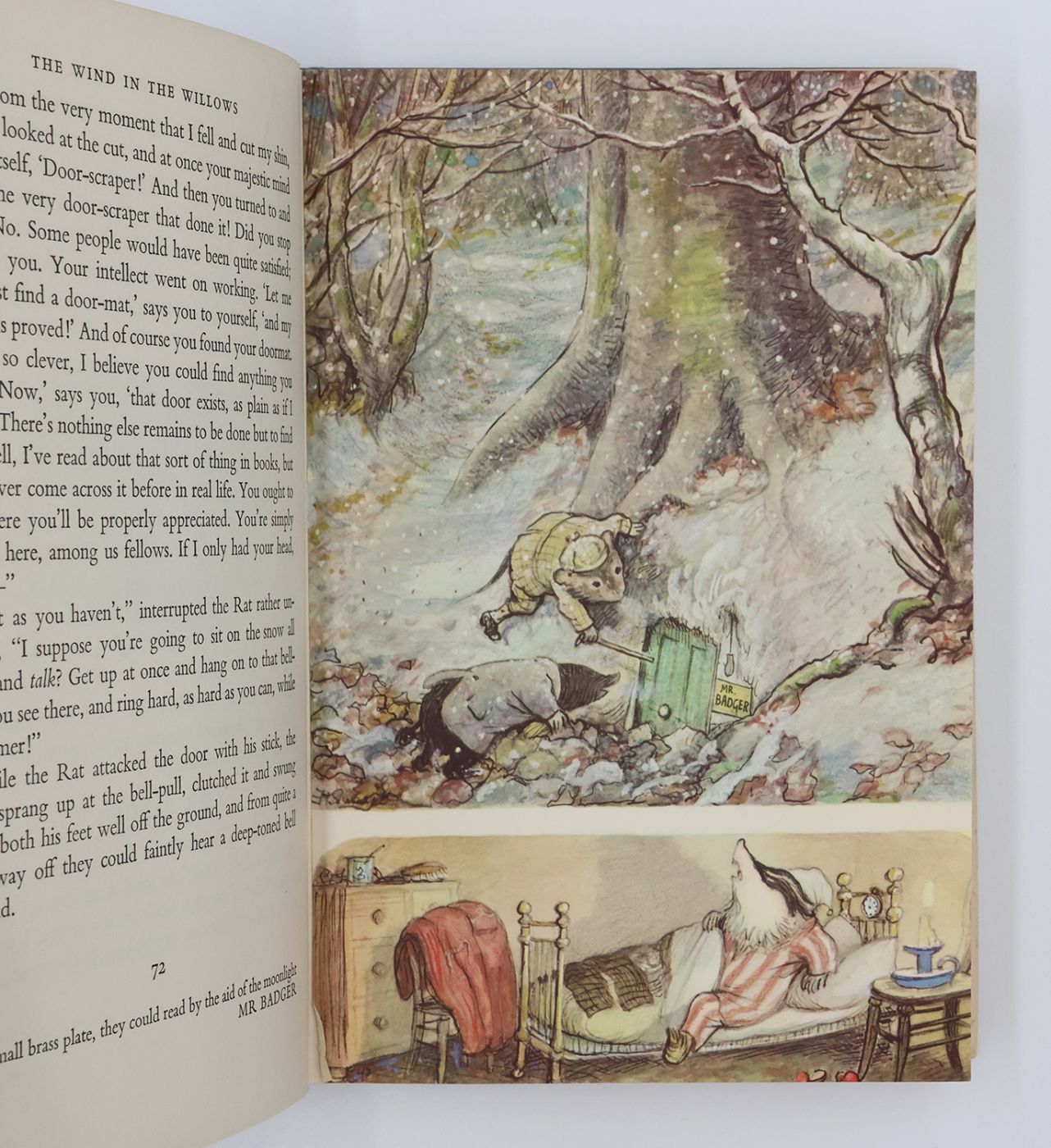 THE WIND IN THE WILLOWS -  image 3