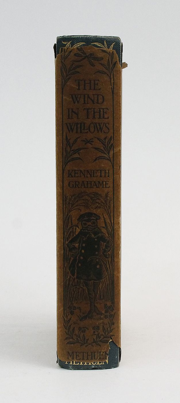 THE WIND IN THE WILLOWS -  image 2