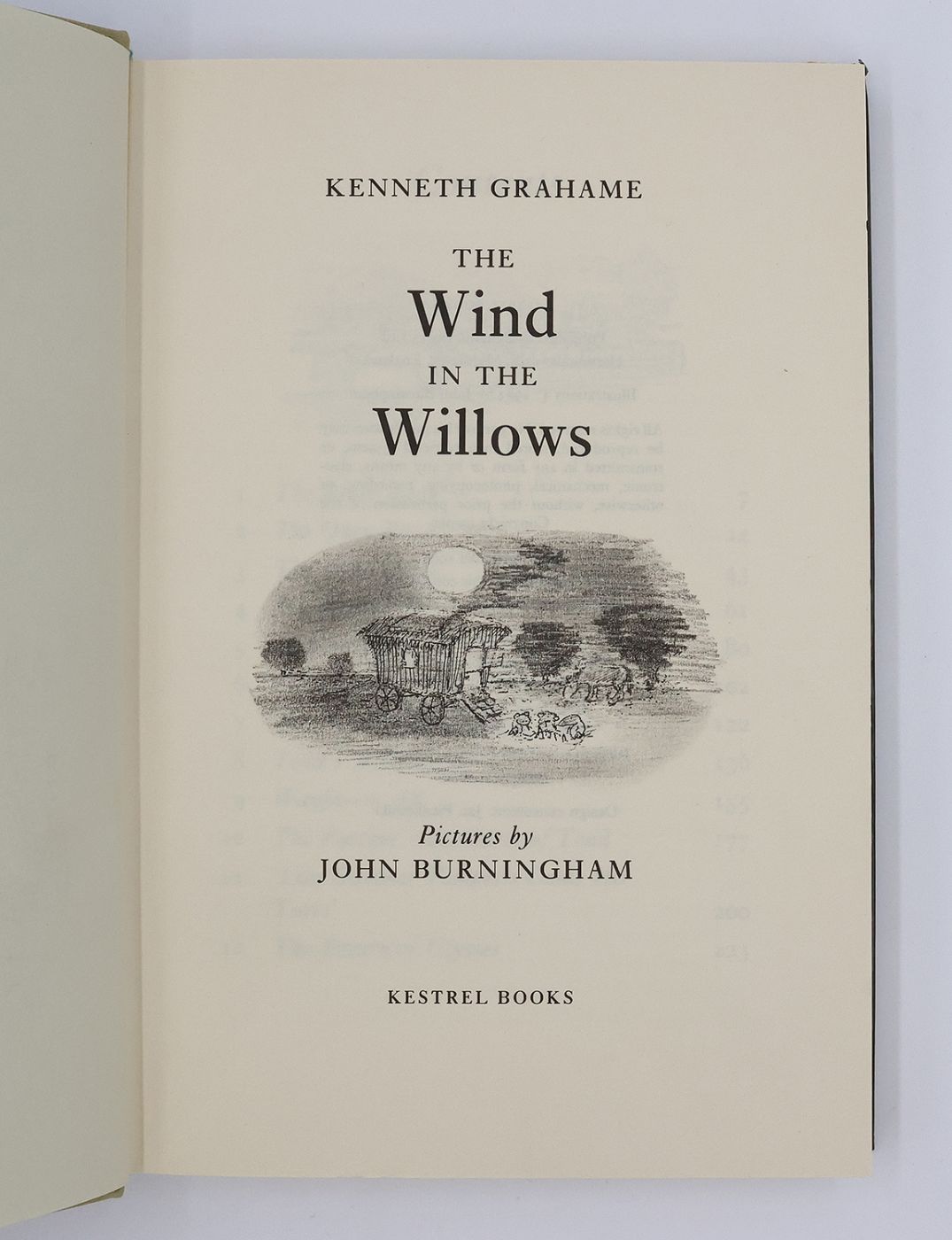 THE WIND IN THE WILLOWS -  image 3