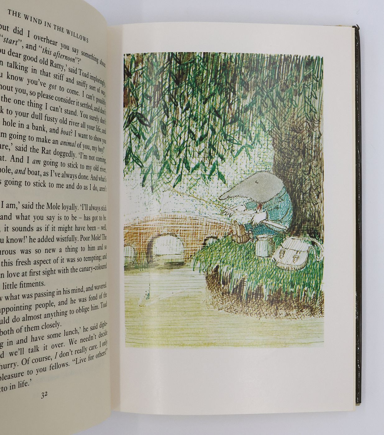 THE WIND IN THE WILLOWS -  image 4