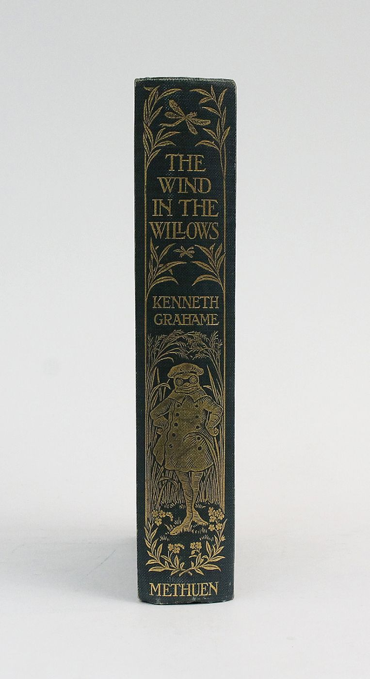 THE WIND IN THE WILLOWS -  image 5