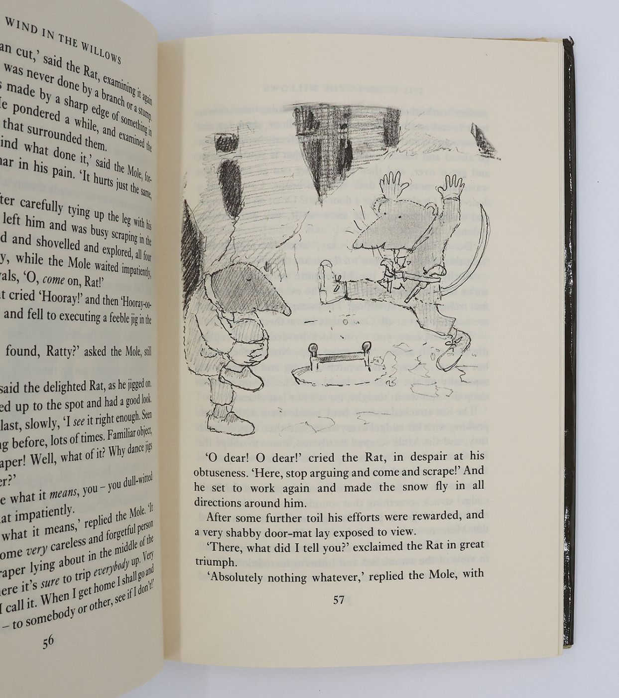 THE WIND IN THE WILLOWS -  image 5