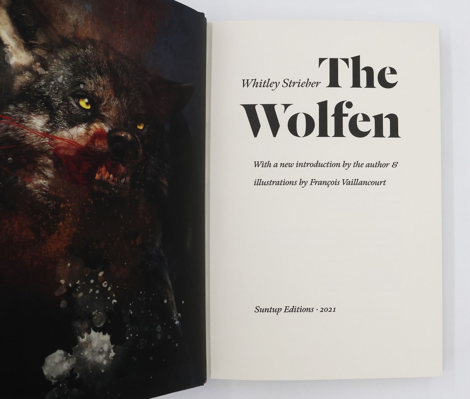 THE WOLFEN -  image 4