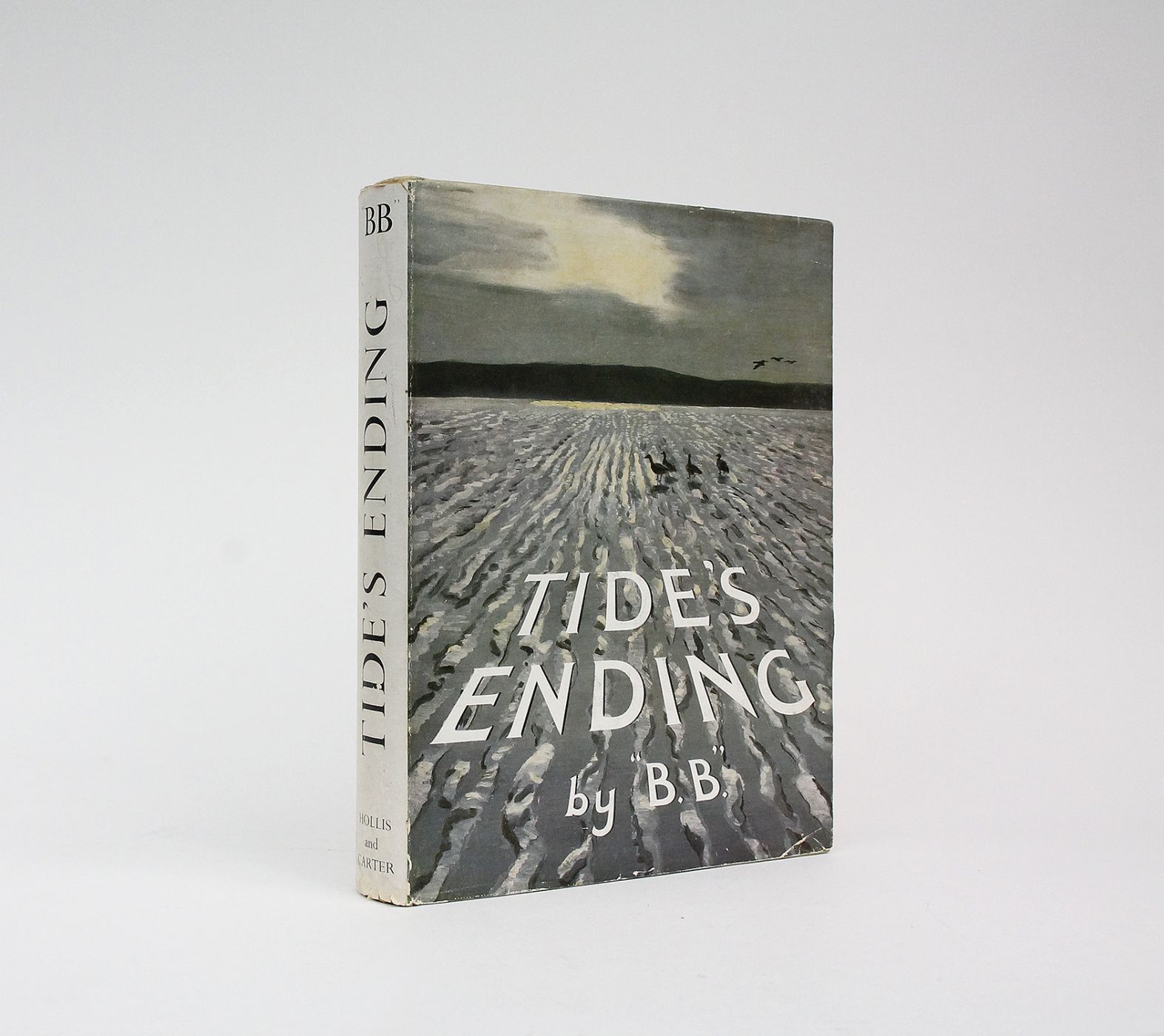 TIDE'S ENDING -  image 1