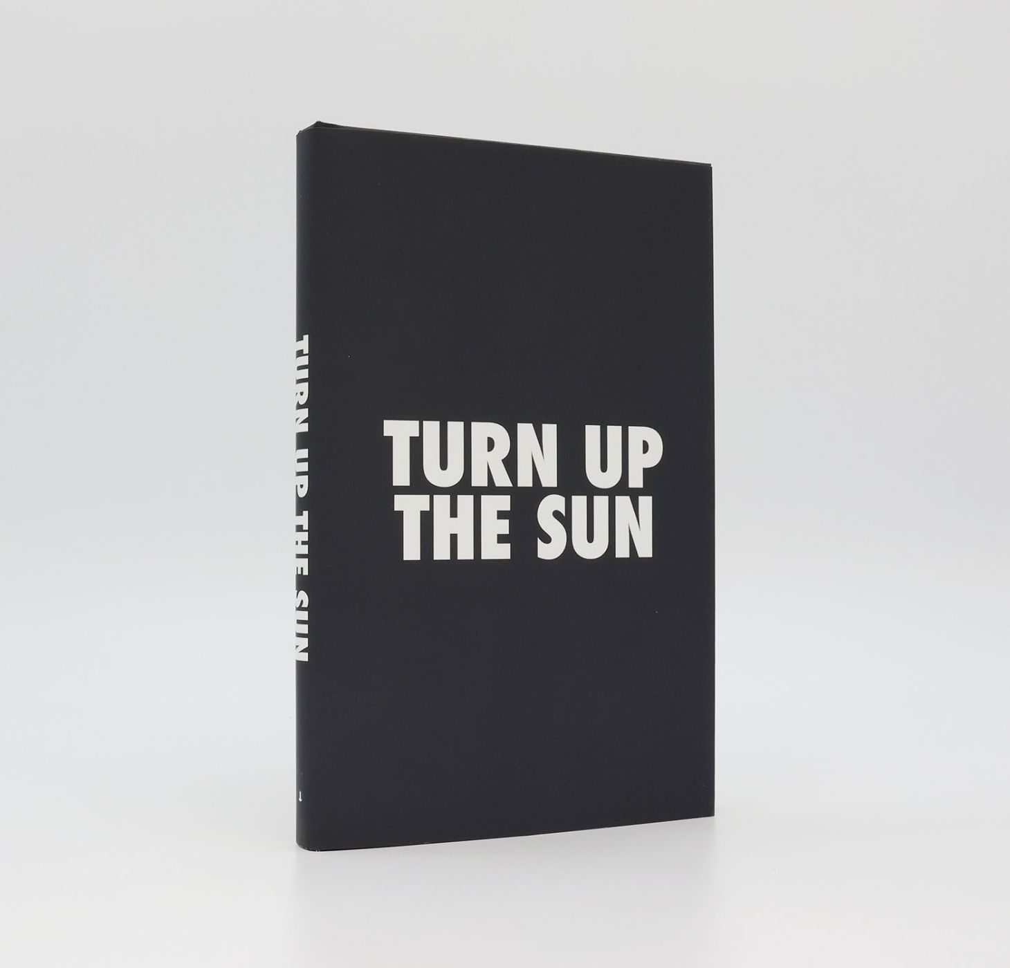 TURN UP THE SUN -  image 1